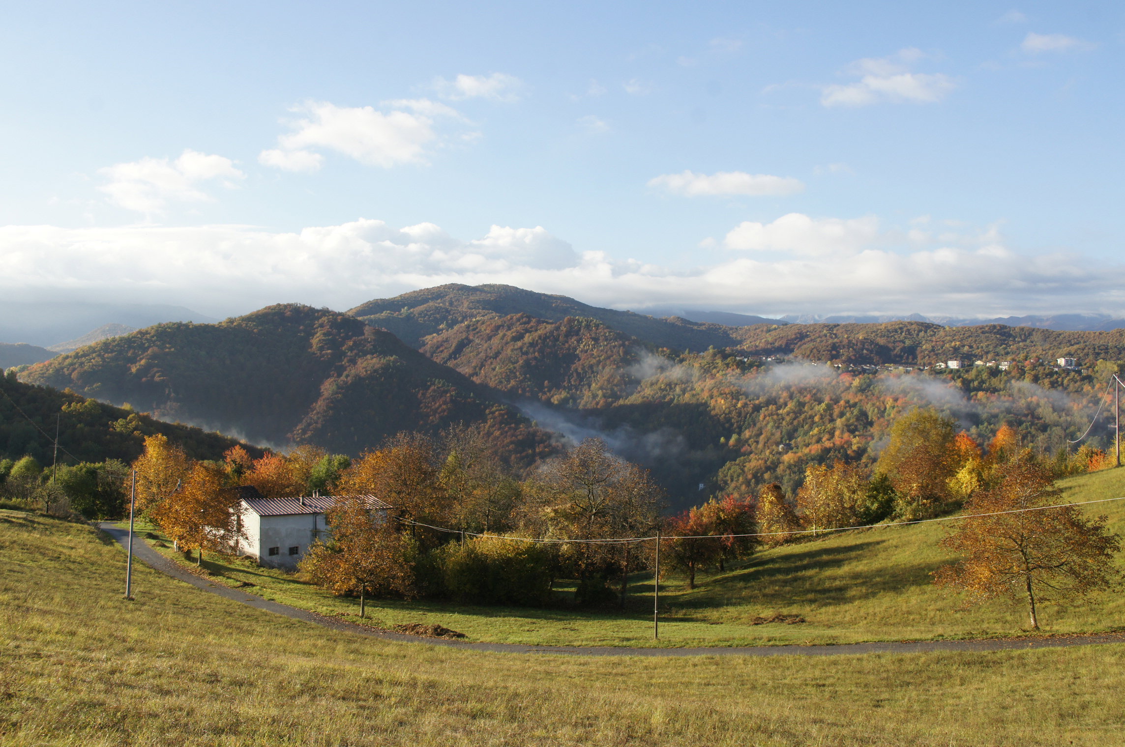 - image: 1