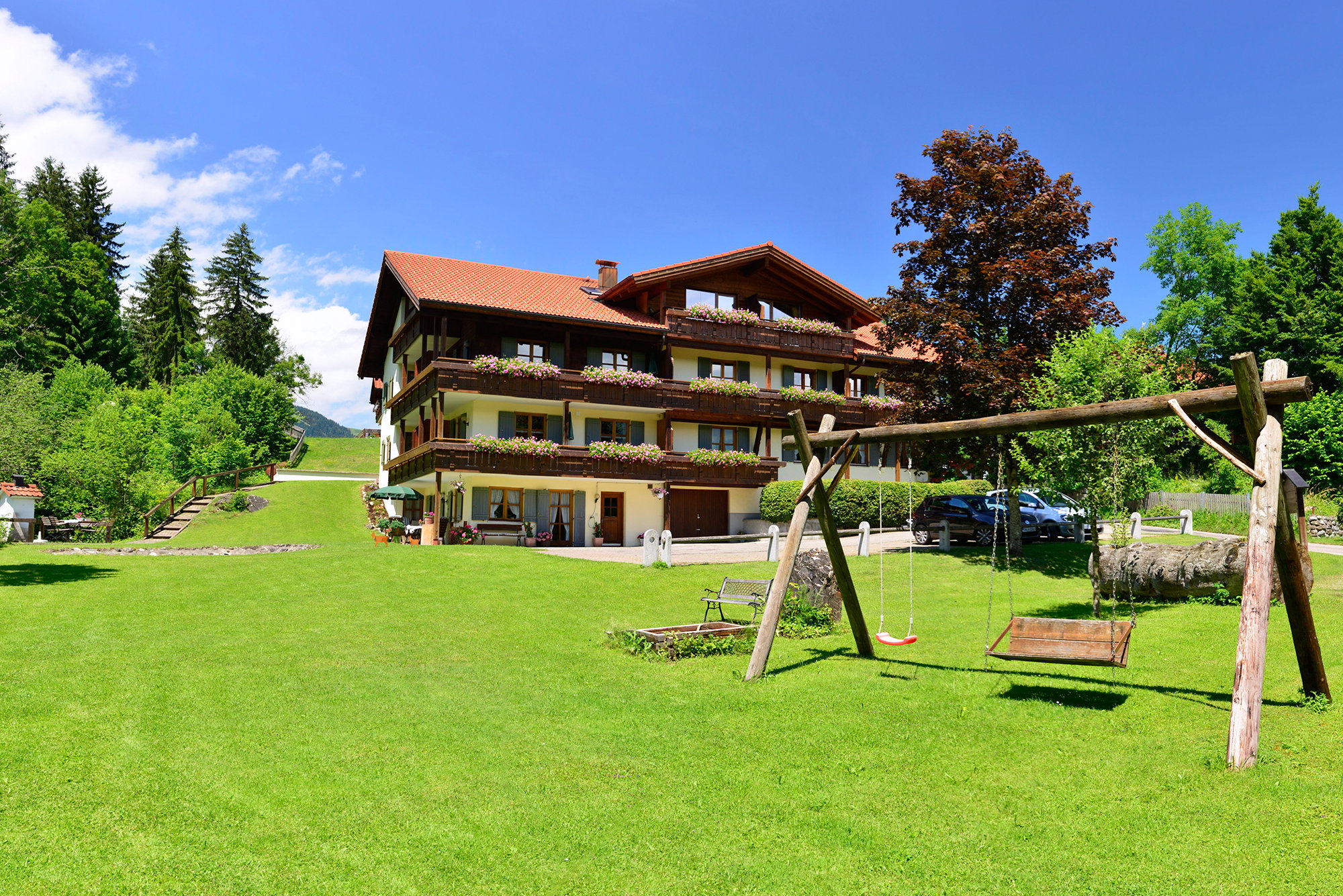 - image: 11