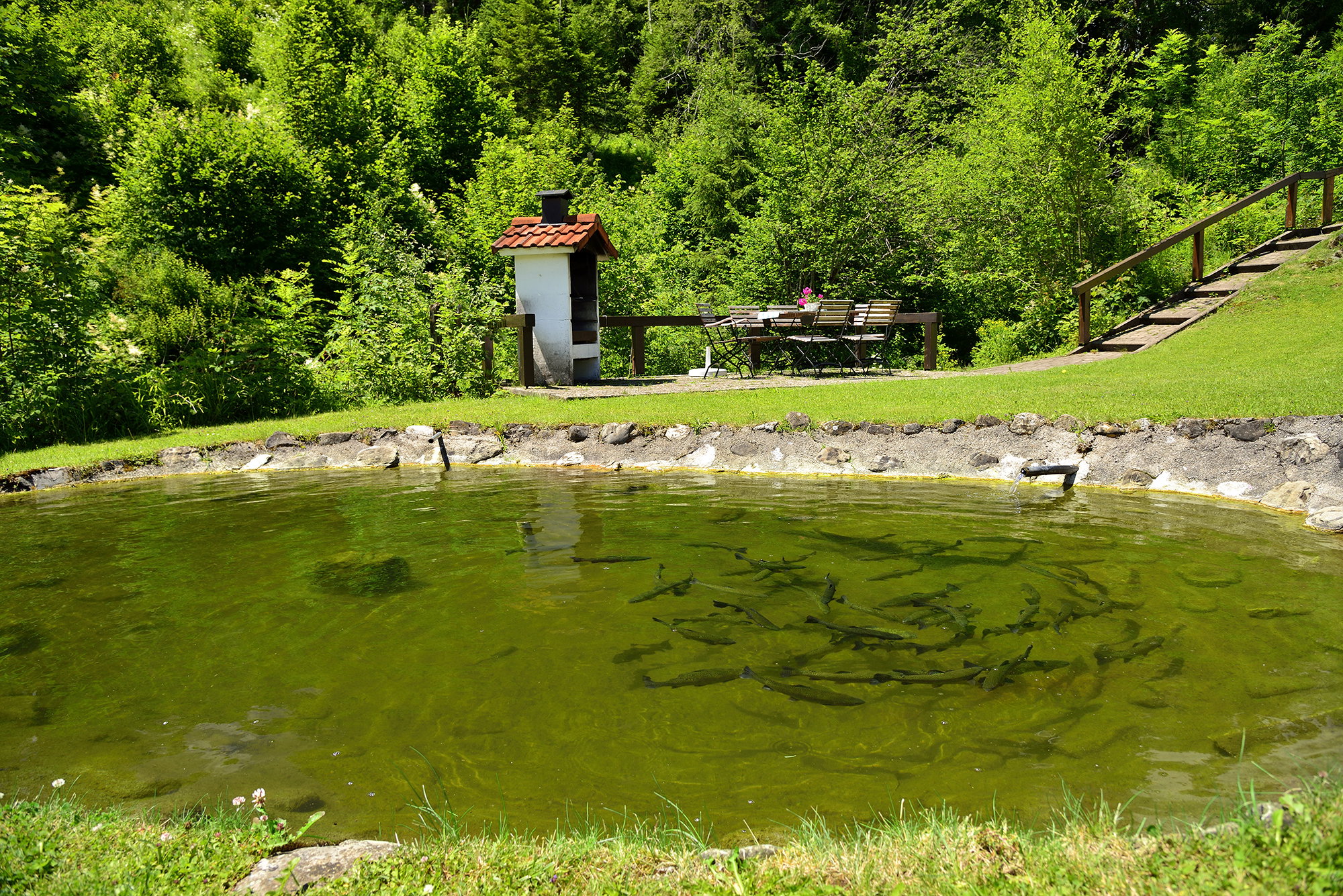 - image: 14