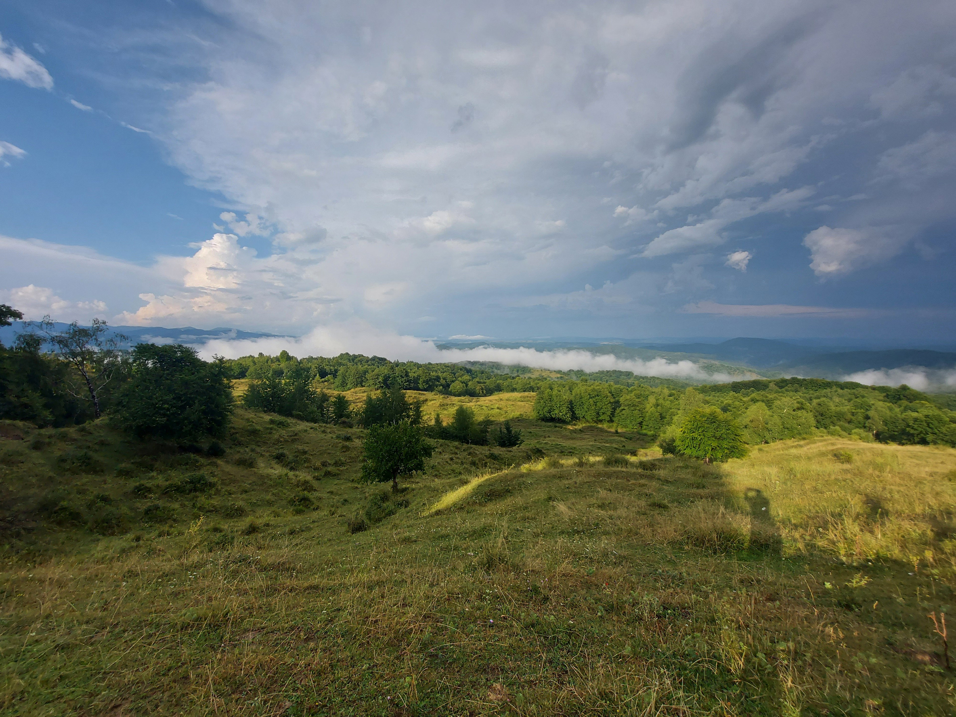 - image: 25