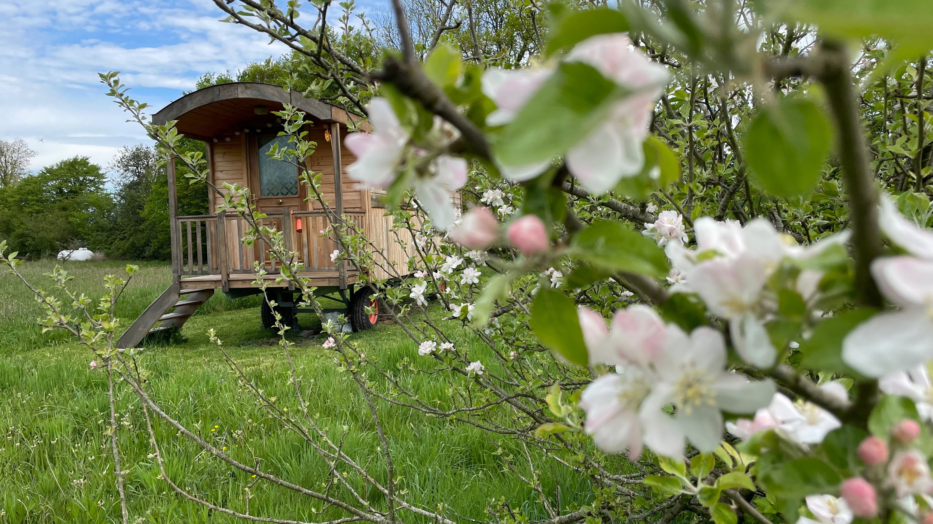 Casa nella natura a La vespiere-friardel