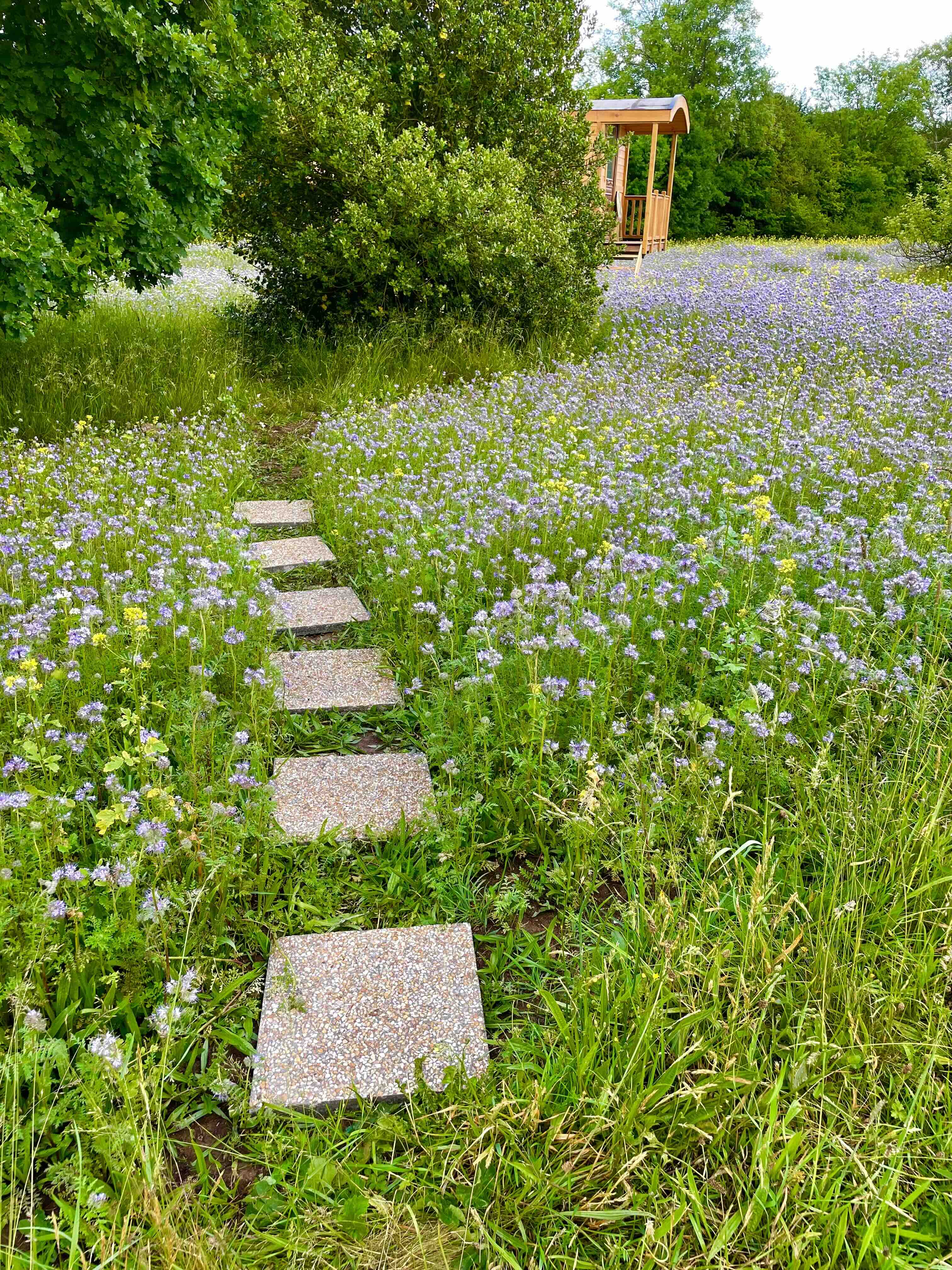 Casa nella natura a La vespiere-friardel