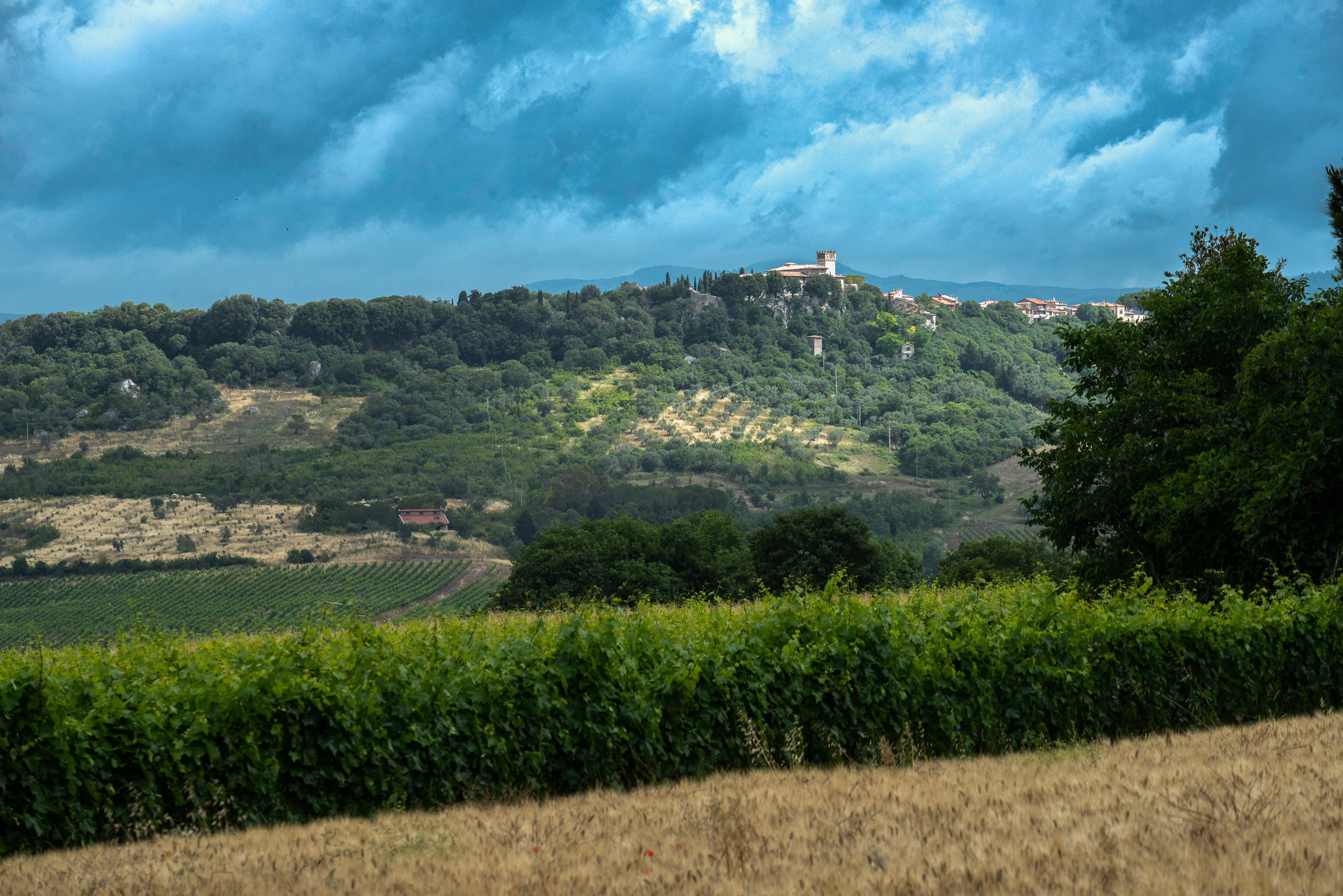 - image: 11