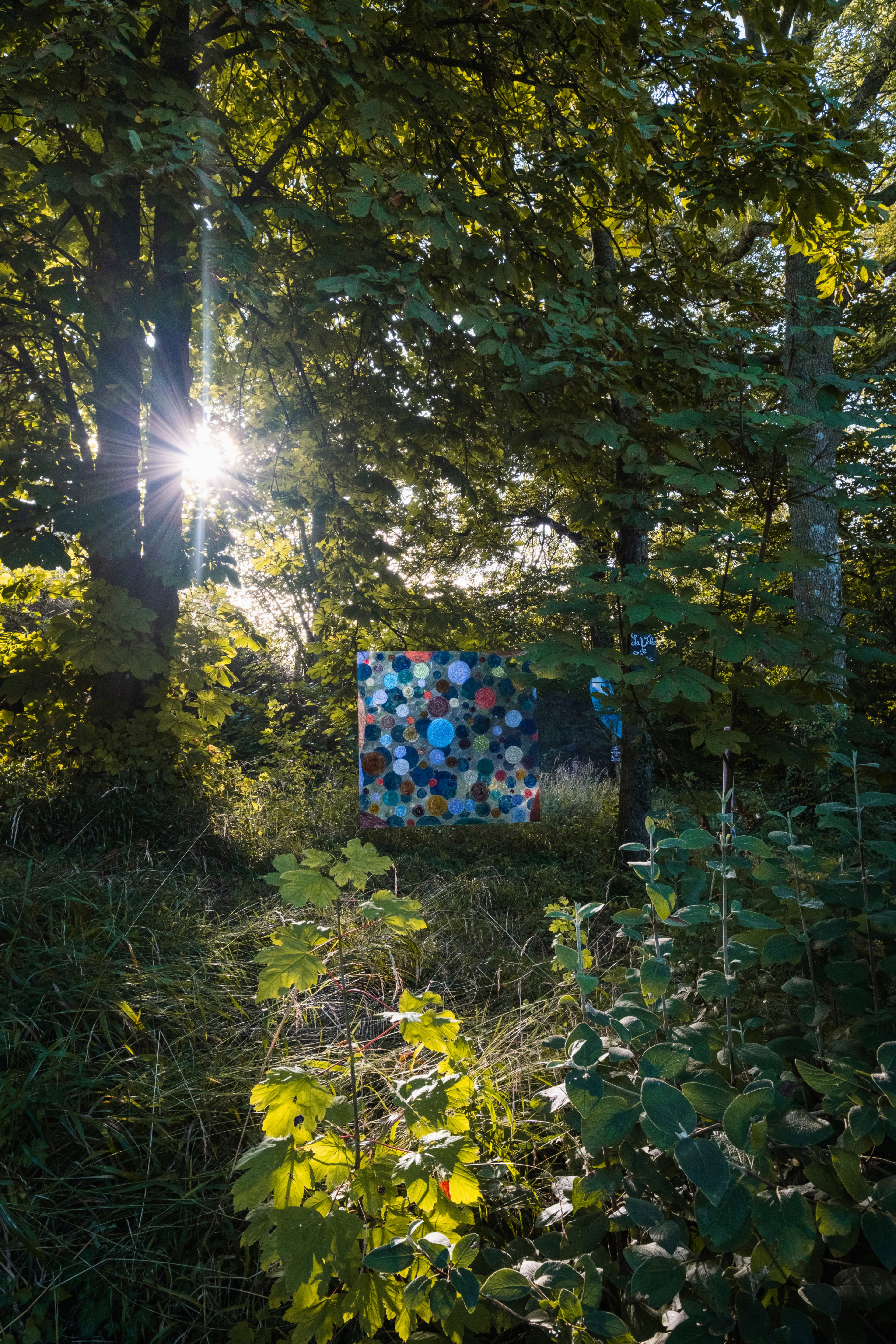 Maison nature à Muidorge