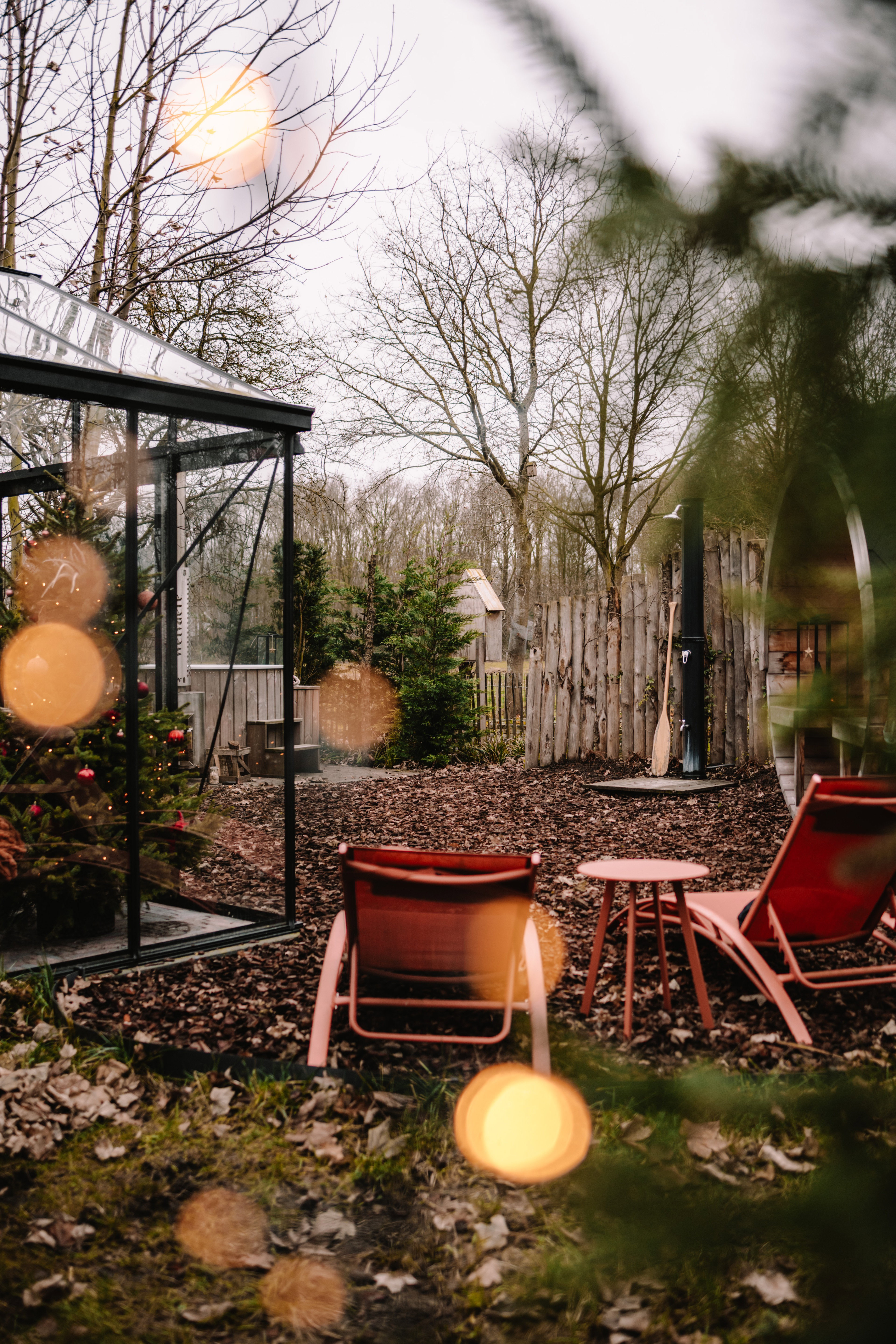 - image: 65