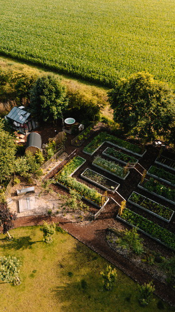 Casa nella natura a Bellingwolde