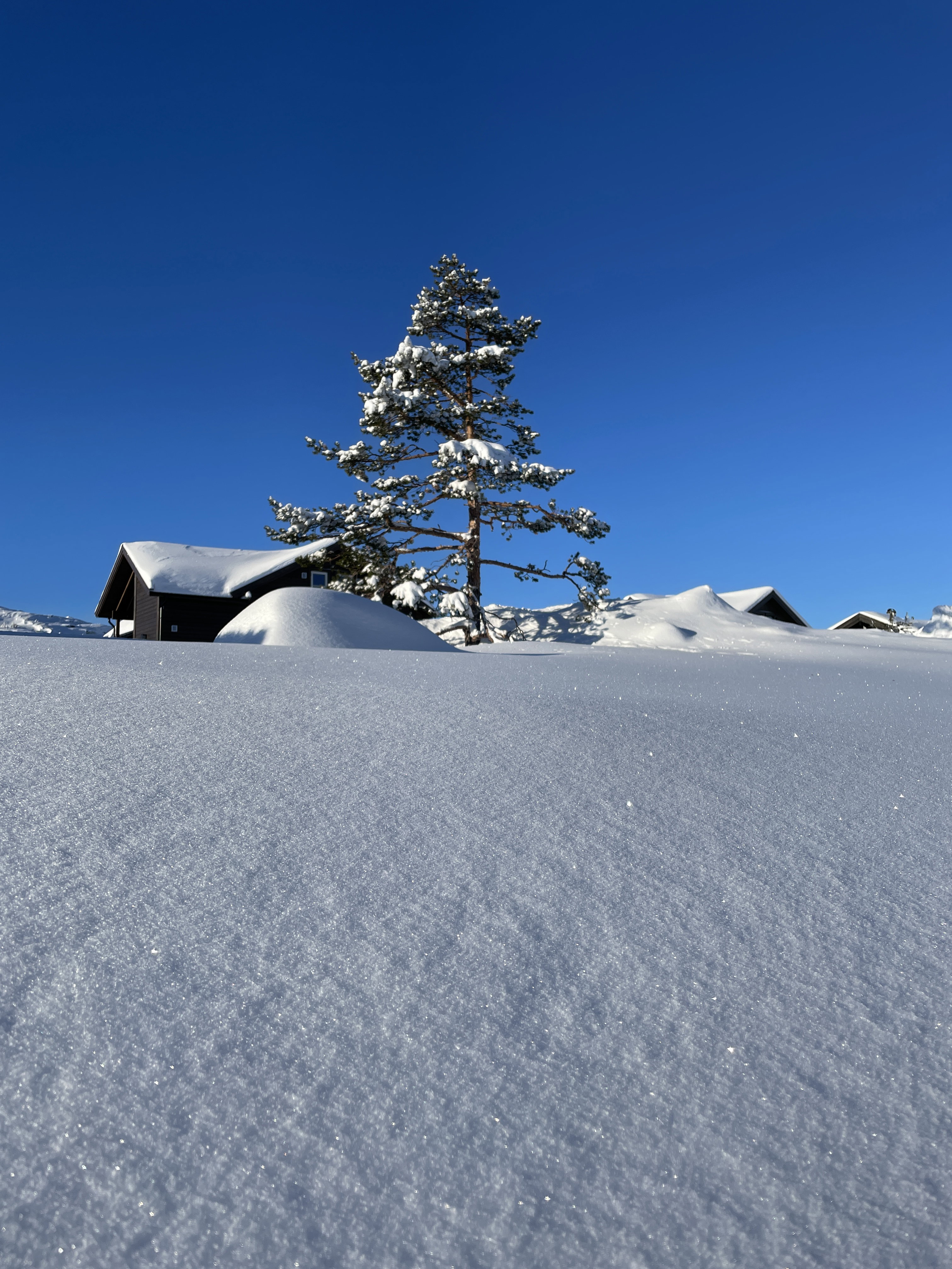 Naturhäuschen in Vrådal