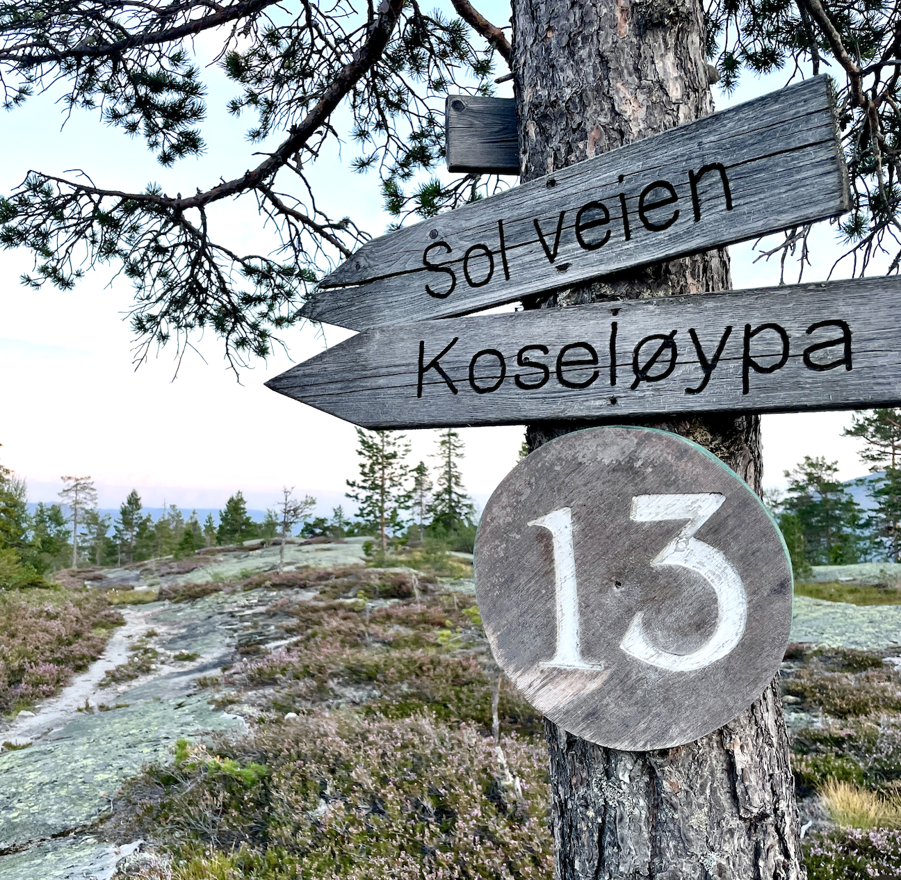 - image: 16
