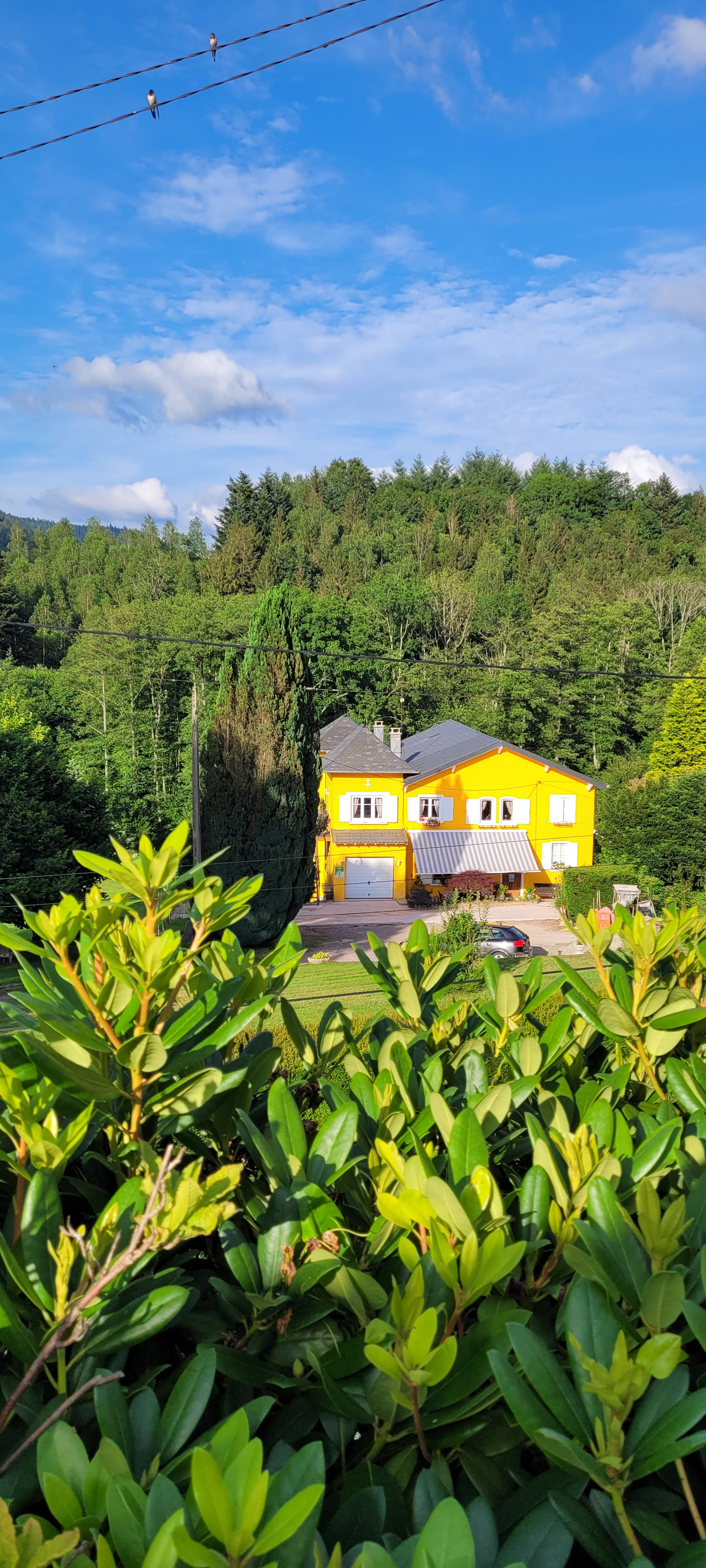 Casa nella natura a Raon-sur-Plaine