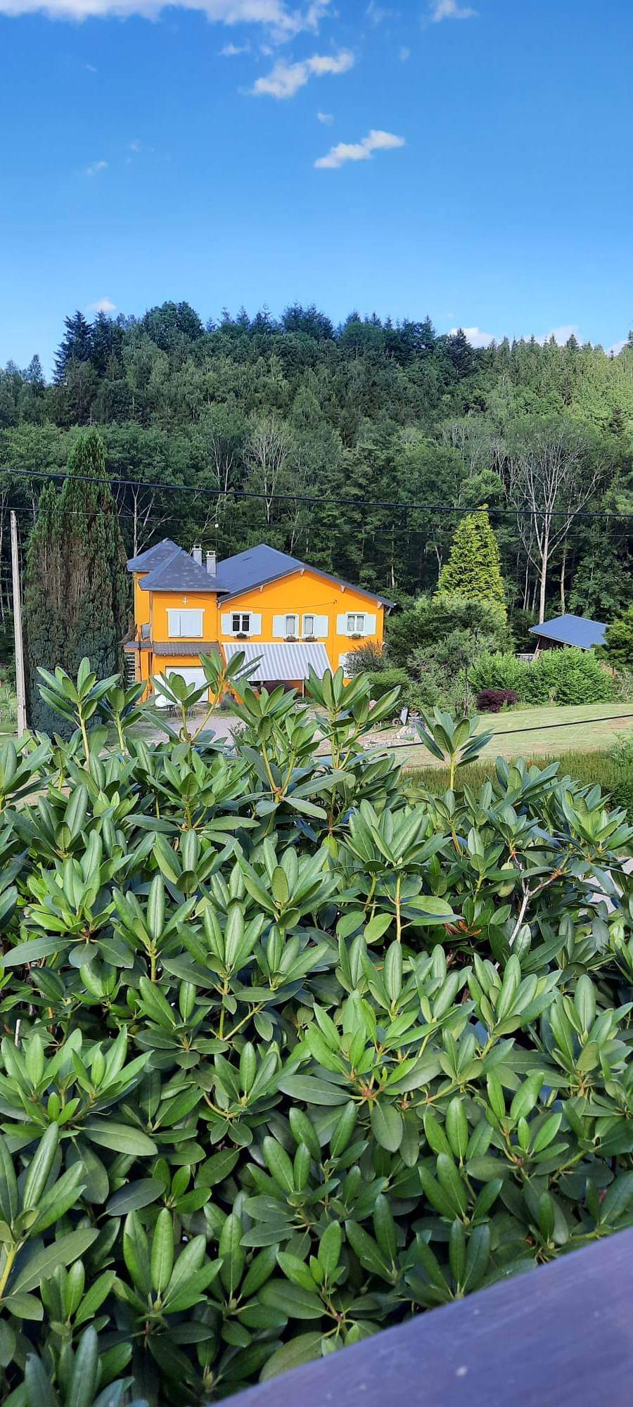 Casa nella natura a Raon-sur-Plaine