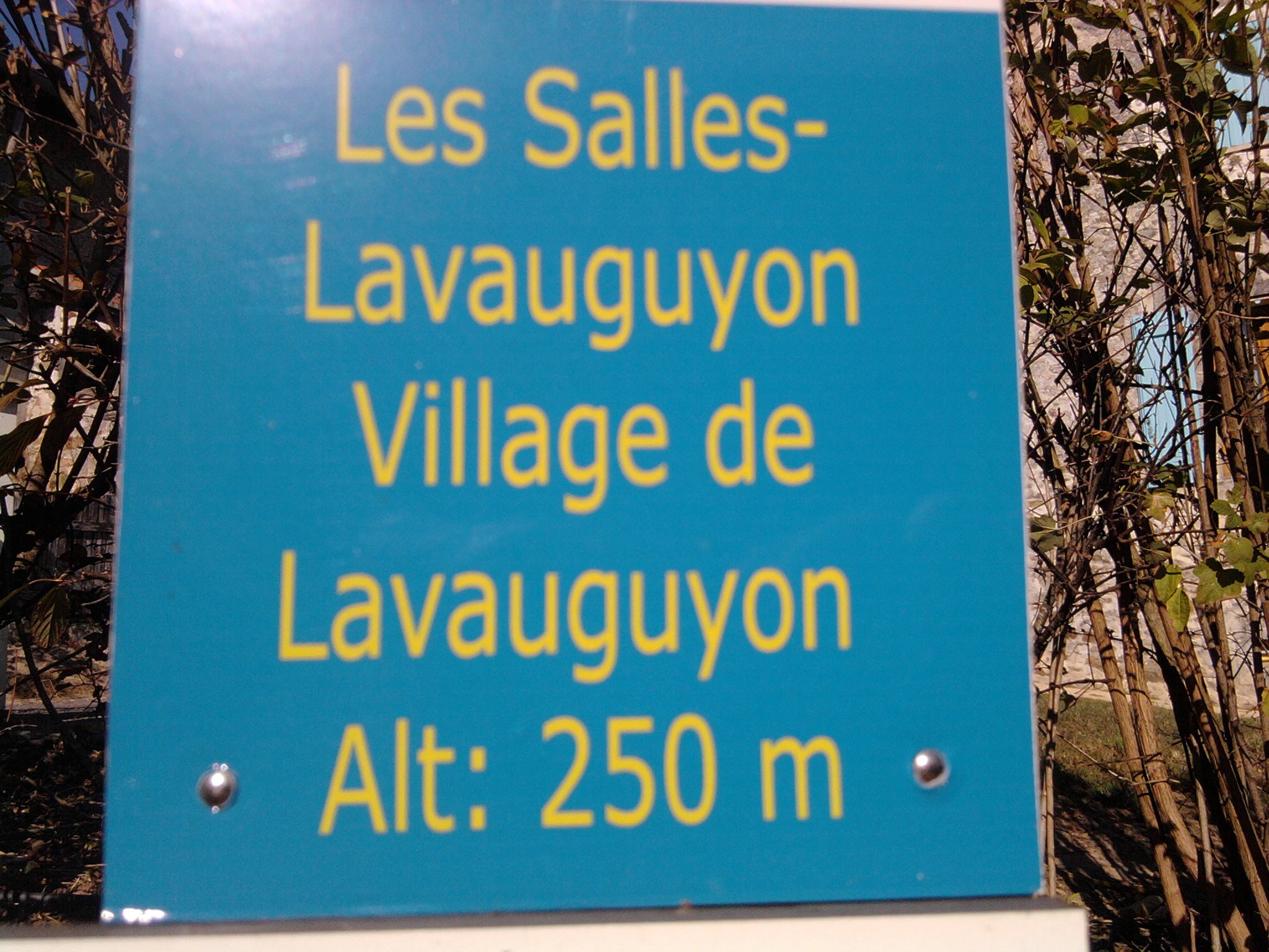 - image: 11