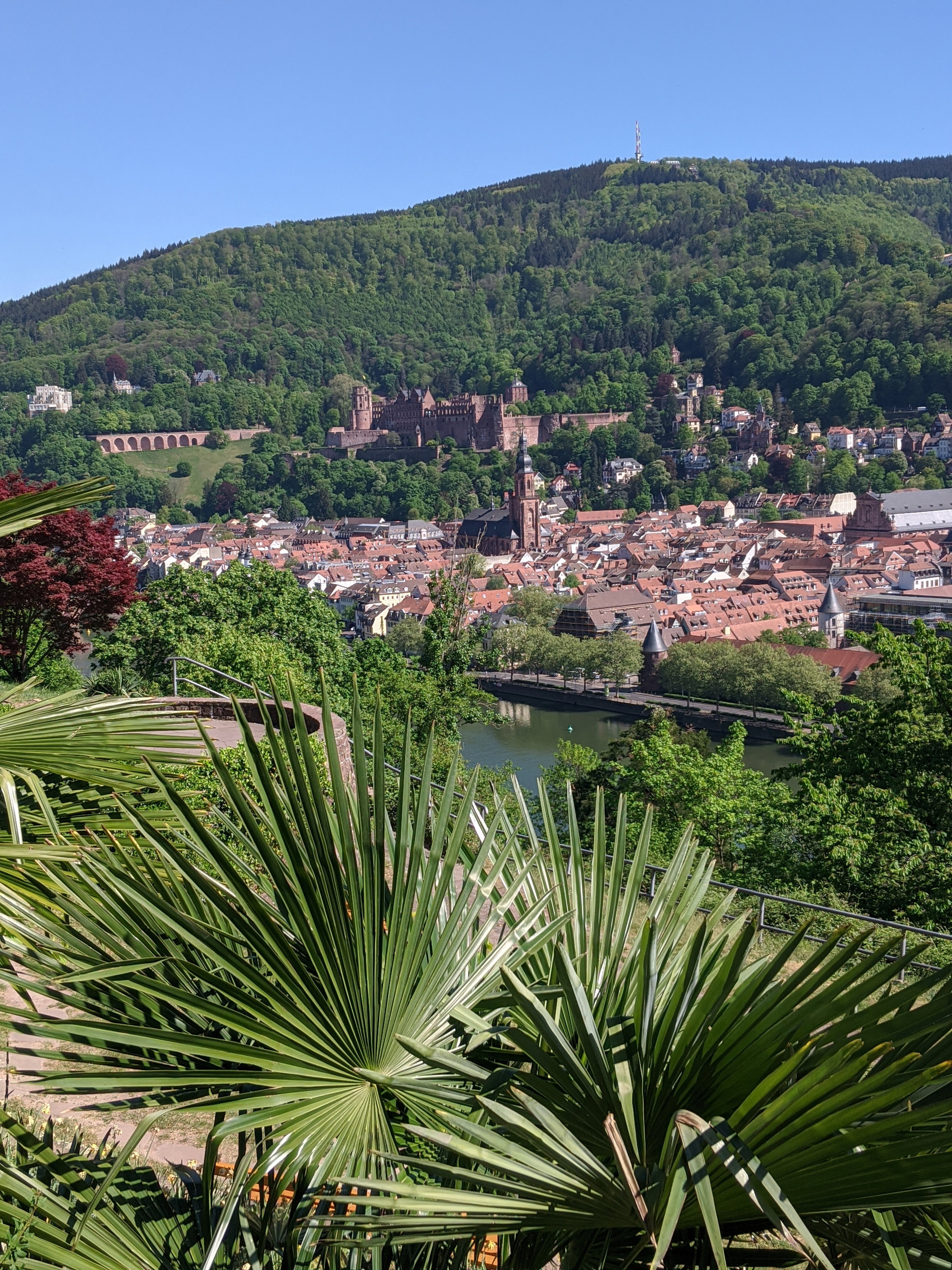 Naturhäuschen in Neckargemünd