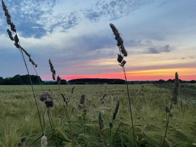 - image: 24