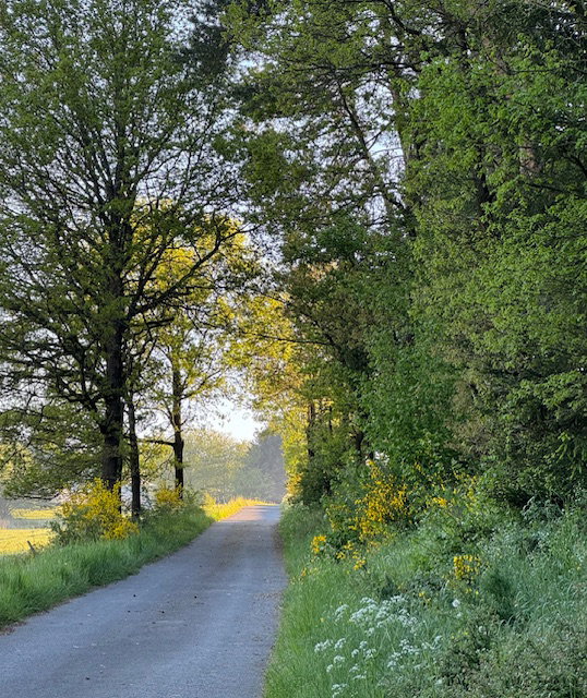 - image: 43