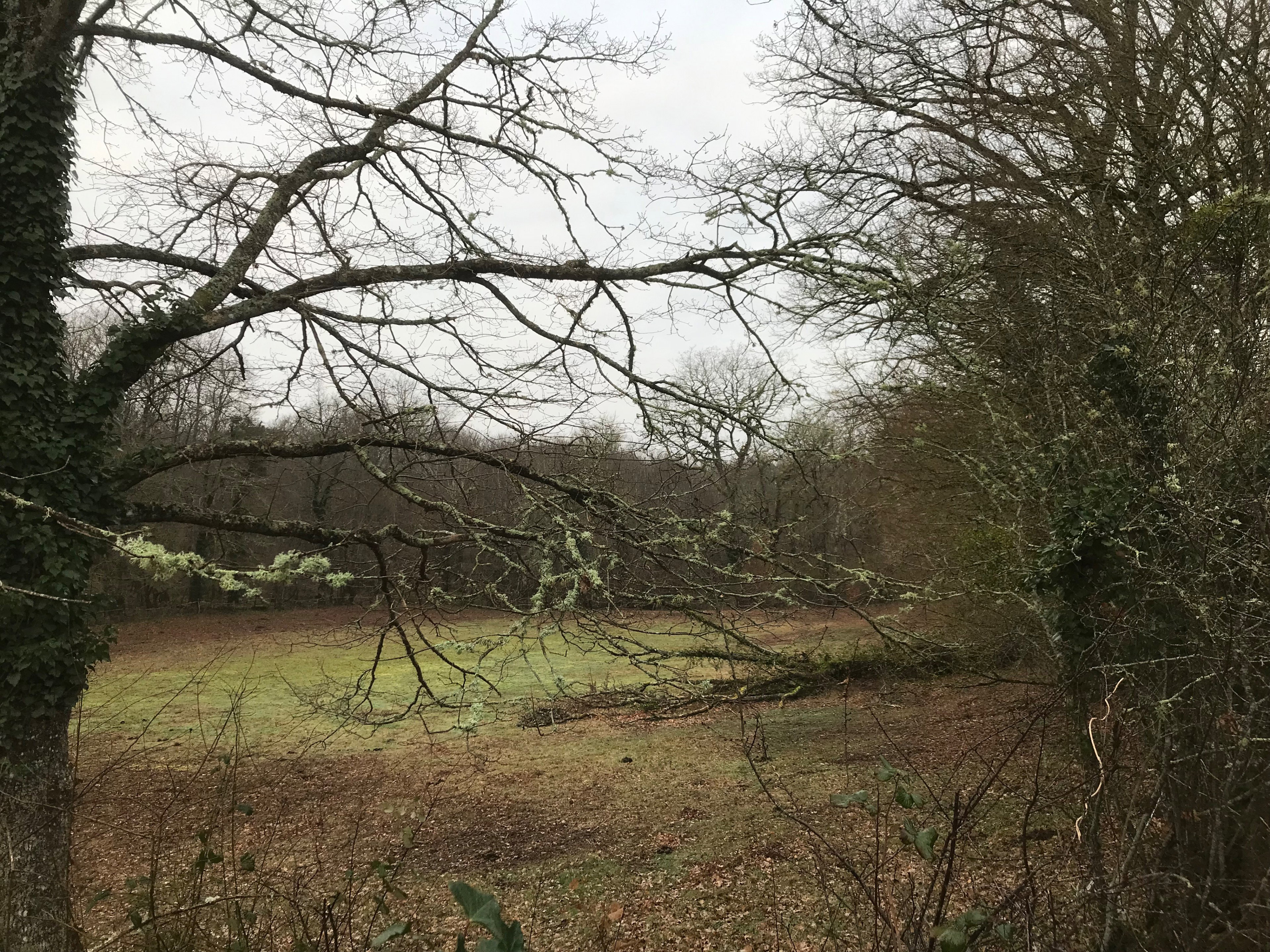 Natuurhuisje in Lignac