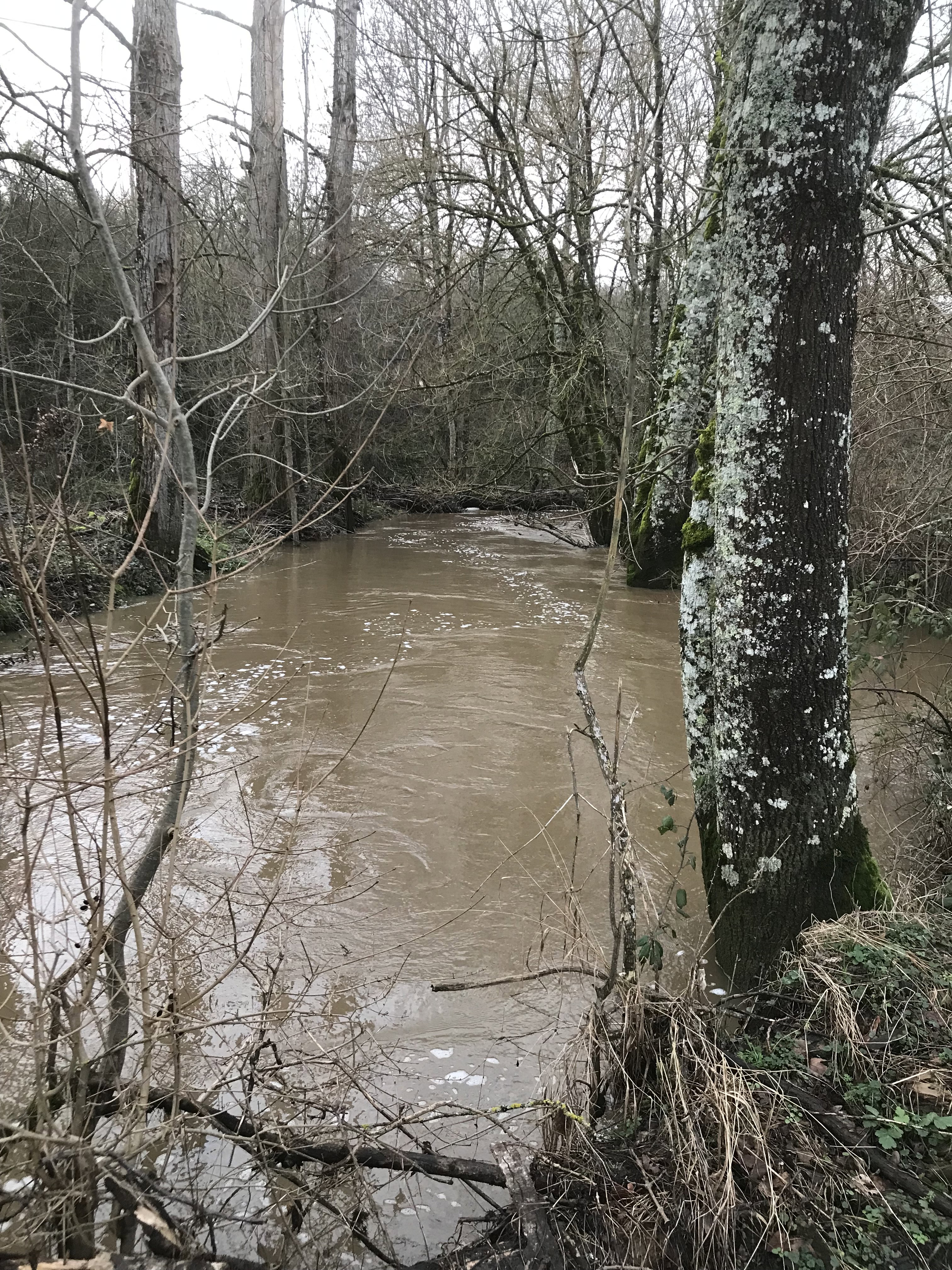 Natuurhuisje in Lignac