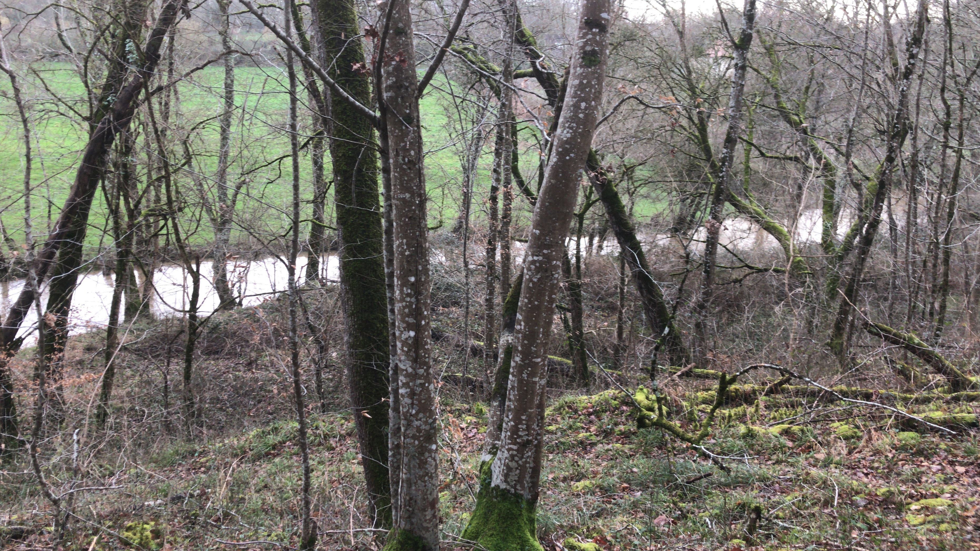 Natuurhuisje in Lignac