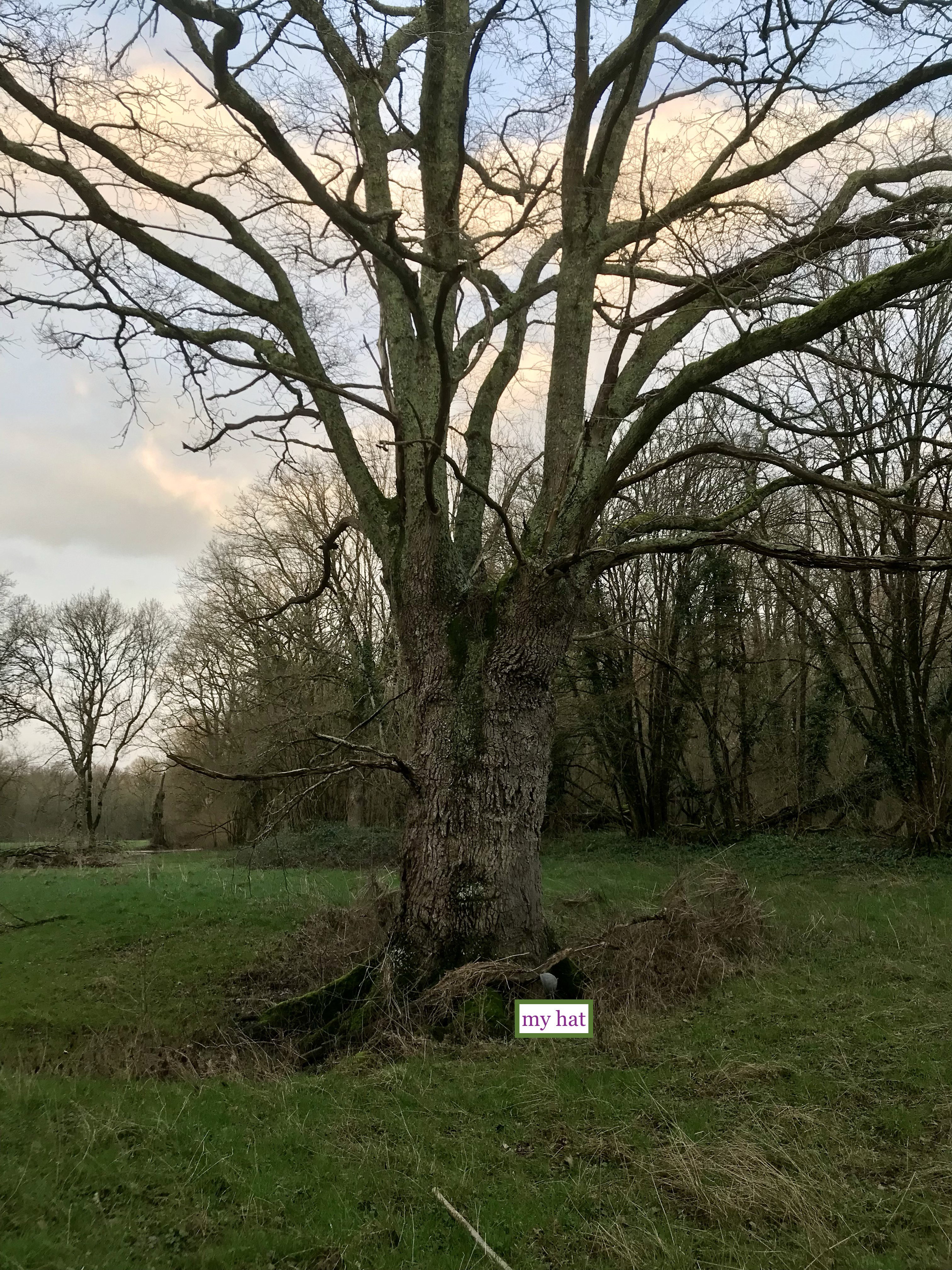 Natuurhuisje in Lignac
