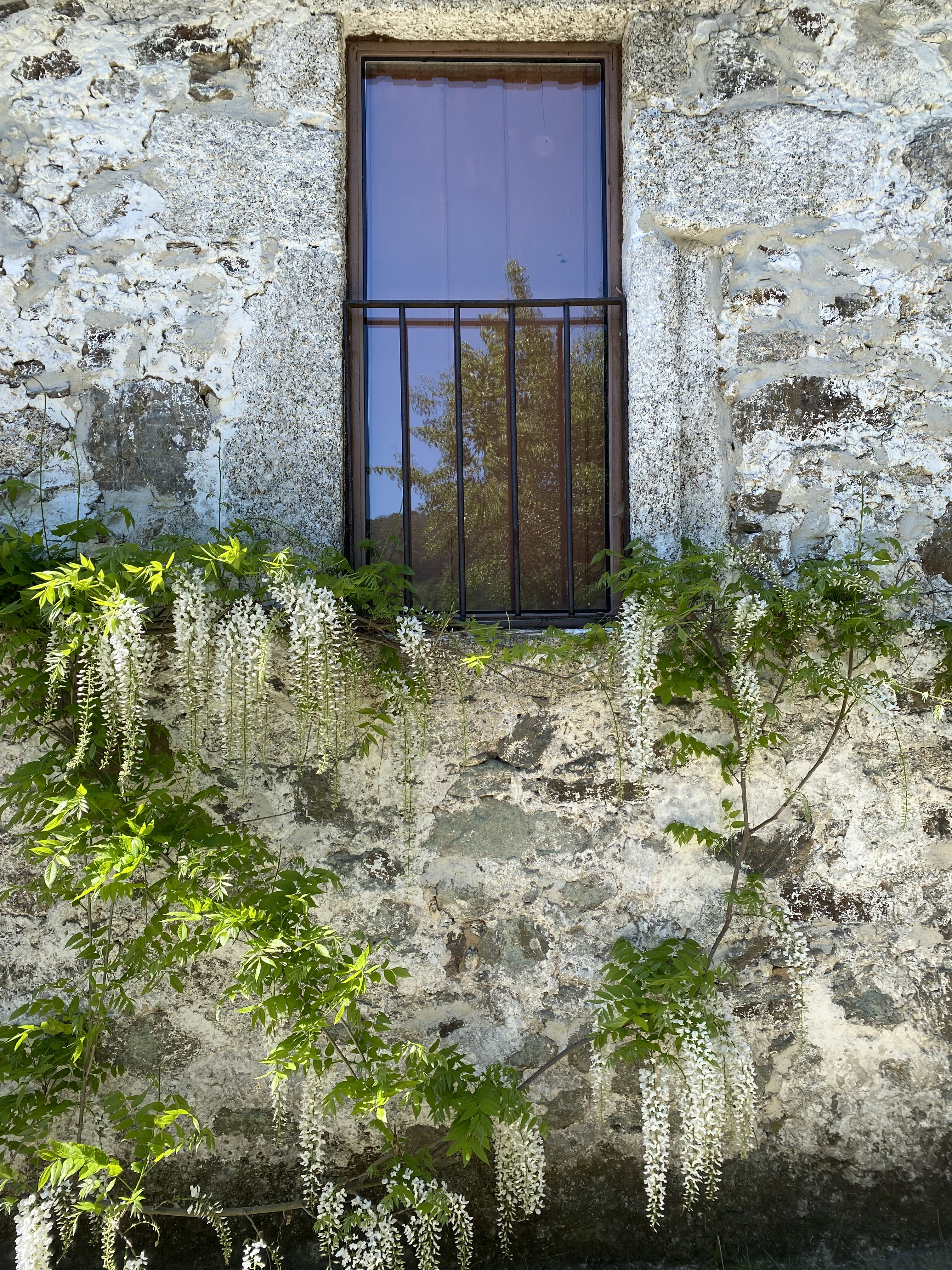 - image: 23