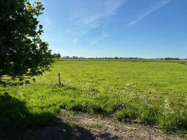 Casa nella natura a Blesdijke
