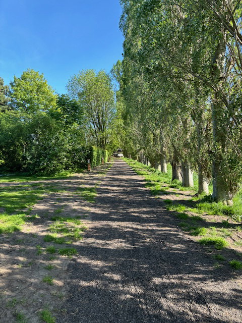 - image: 12
