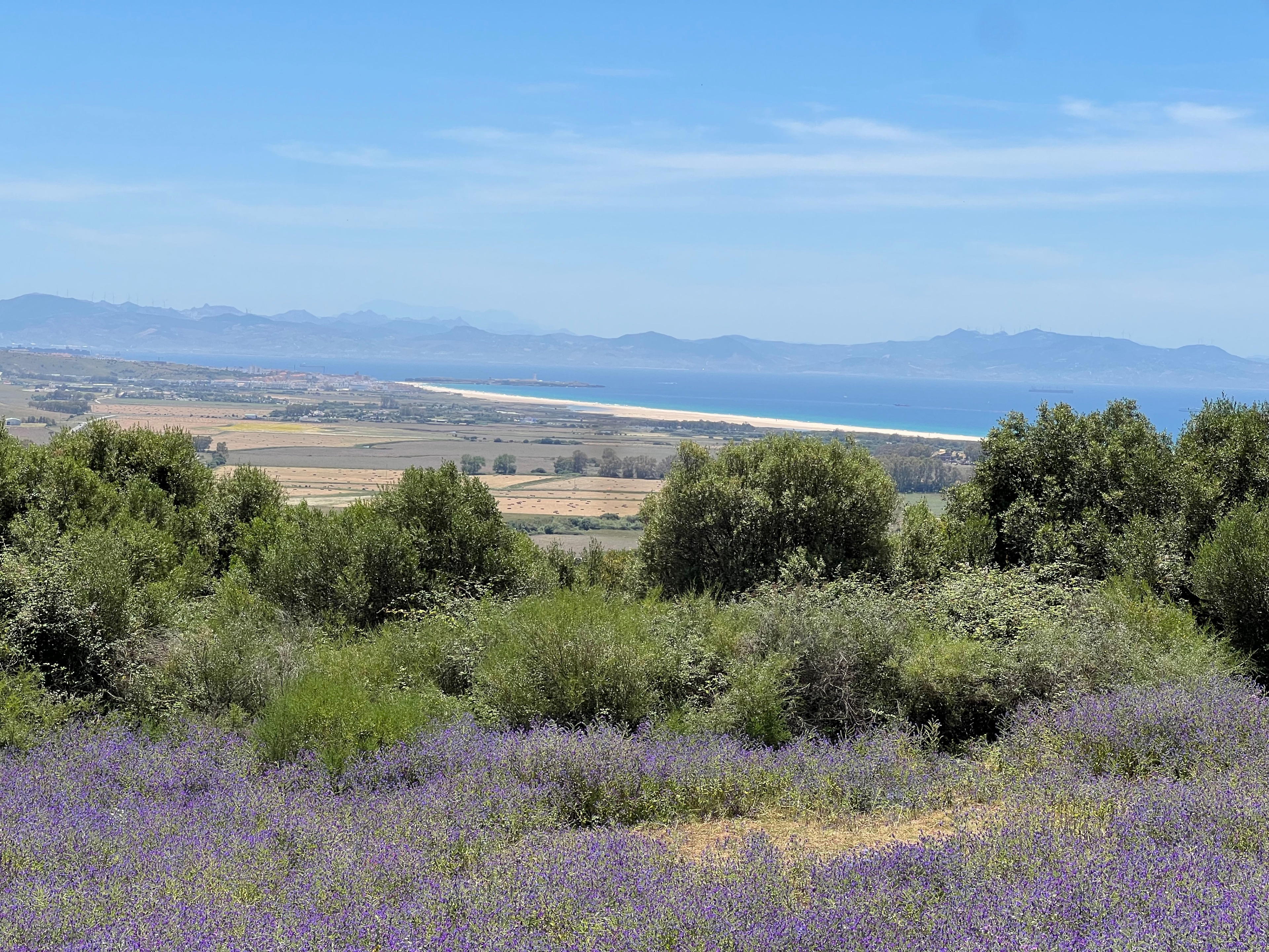 Natuurhuisje in Tarifa