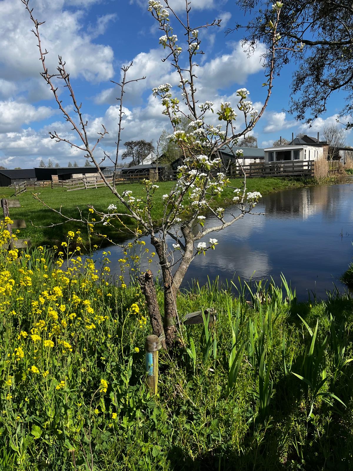 Natuurhuisje in Reeuwijk