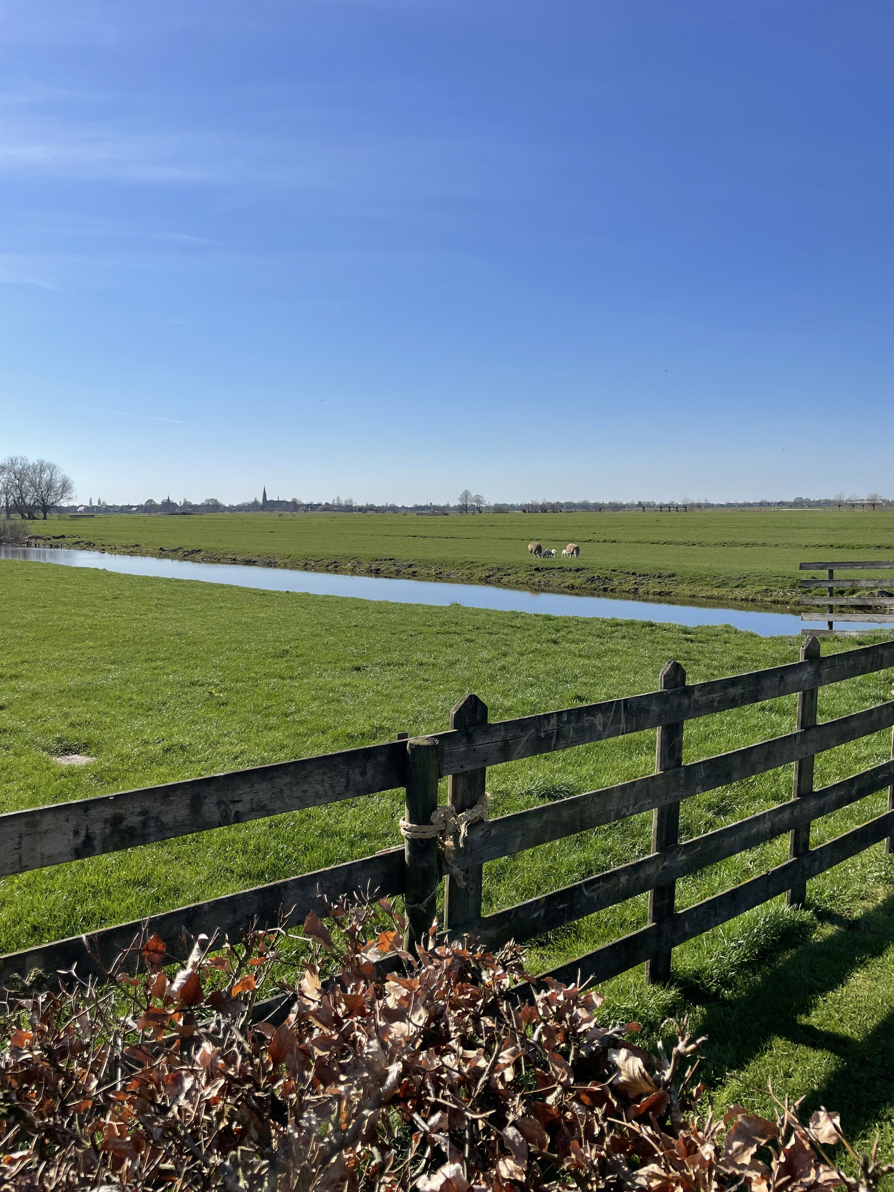 Natuurhuisje in Reeuwijk