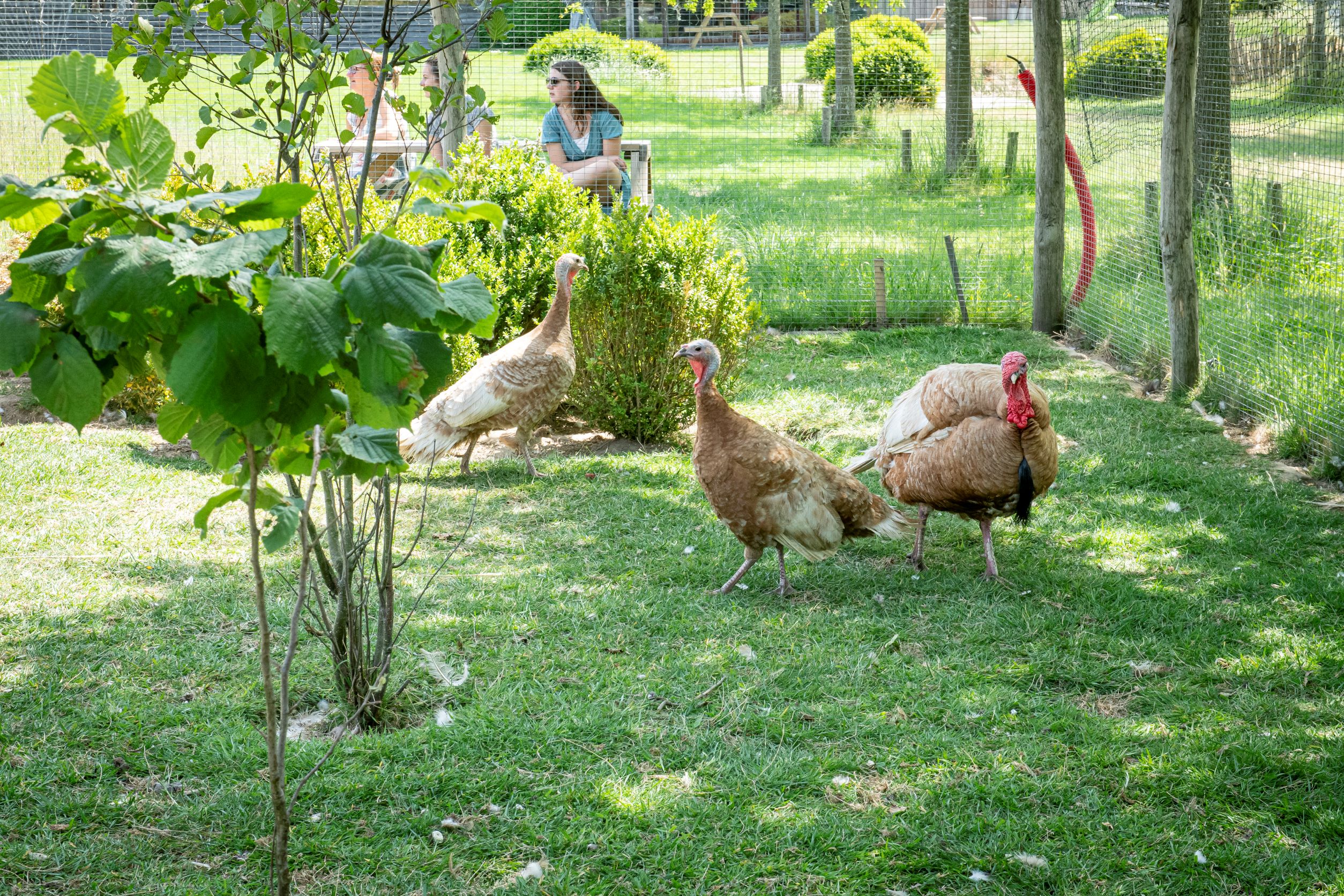 Casa nella natura a Staden