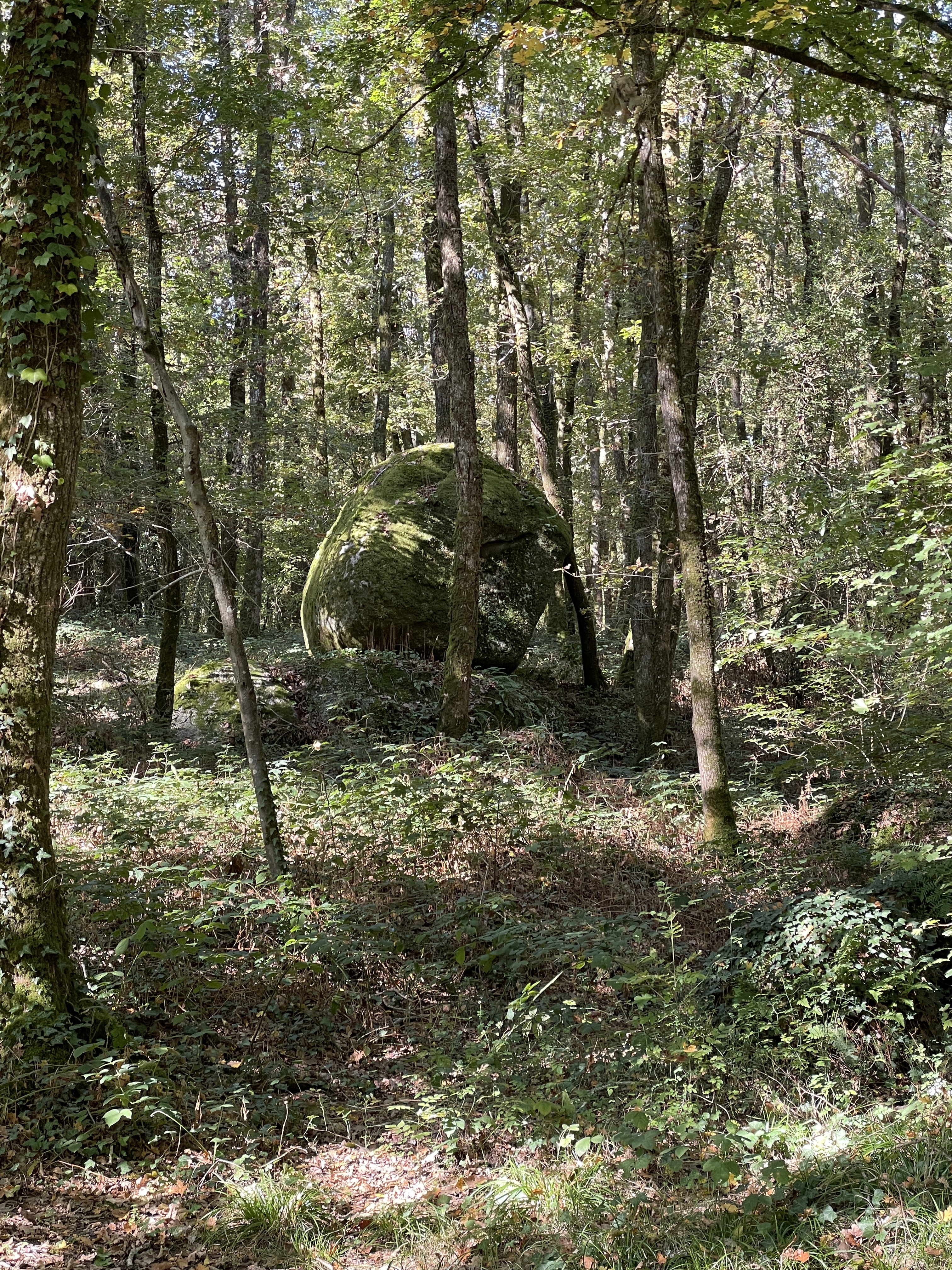 - image: 12