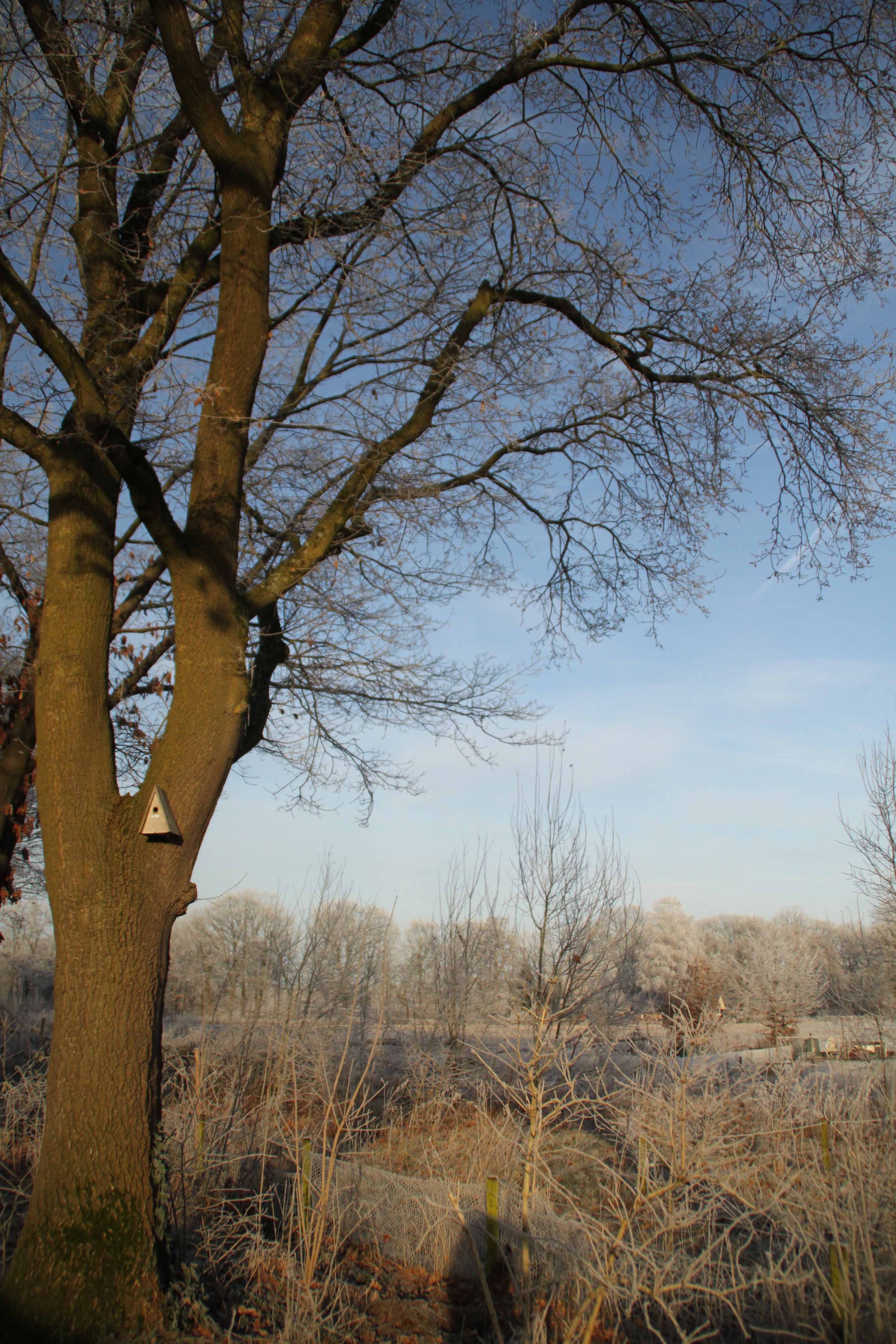 - image: 13