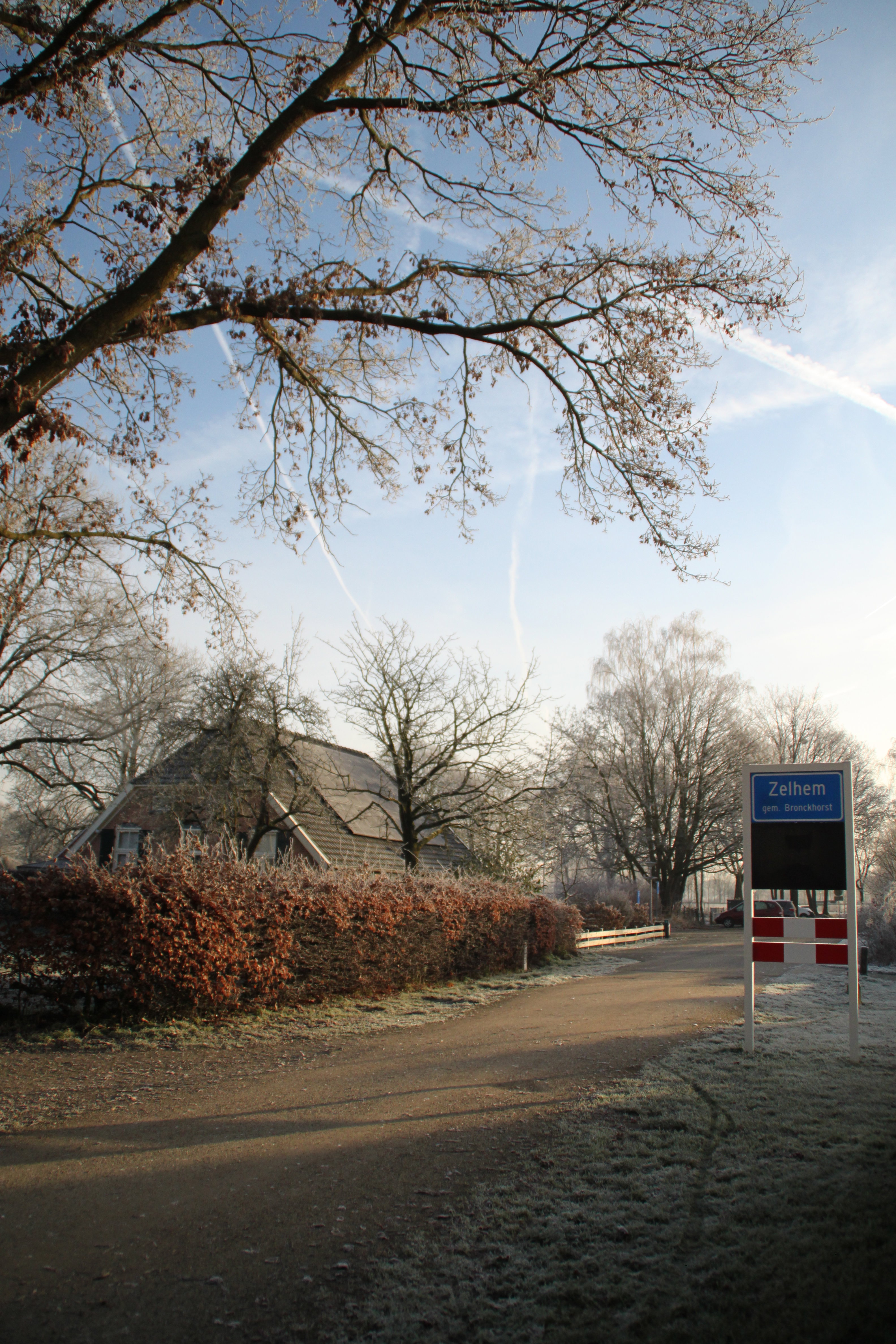 - image: 11