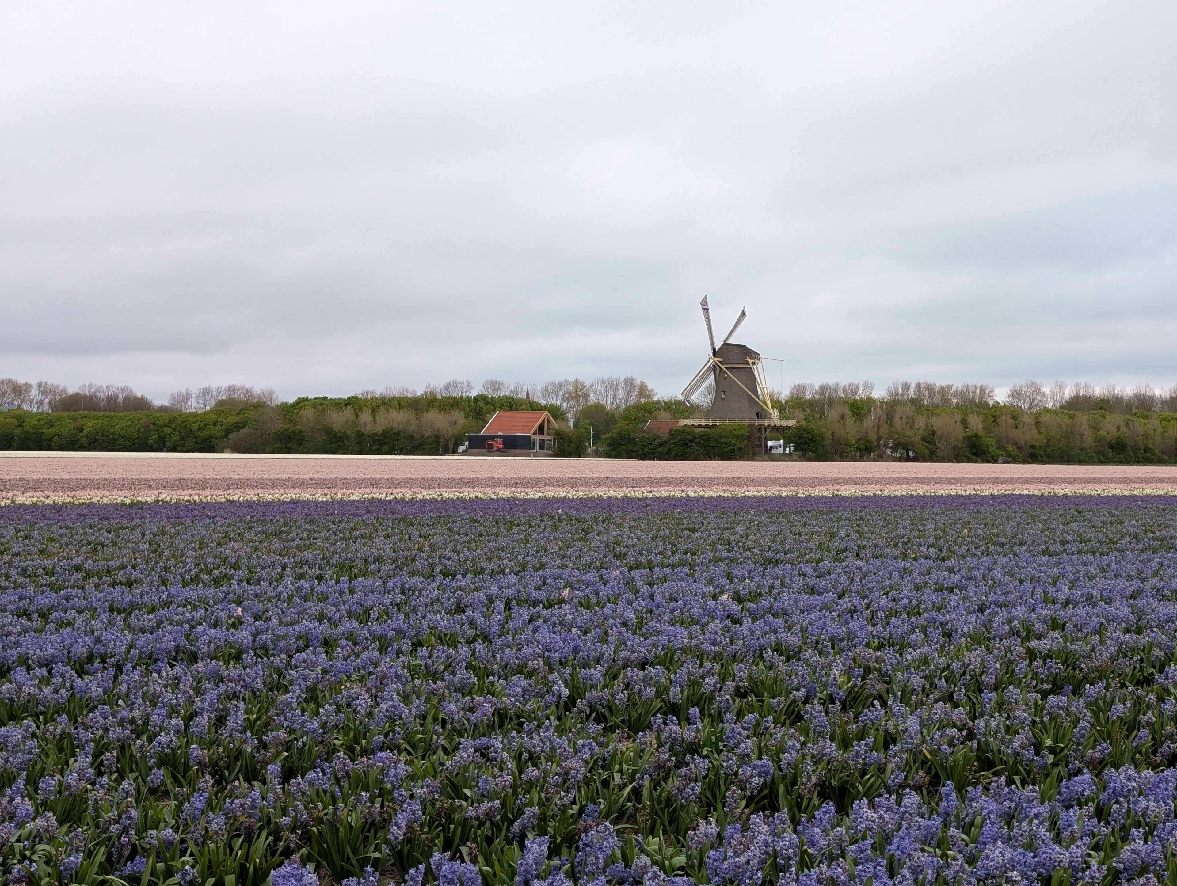 - image: 26