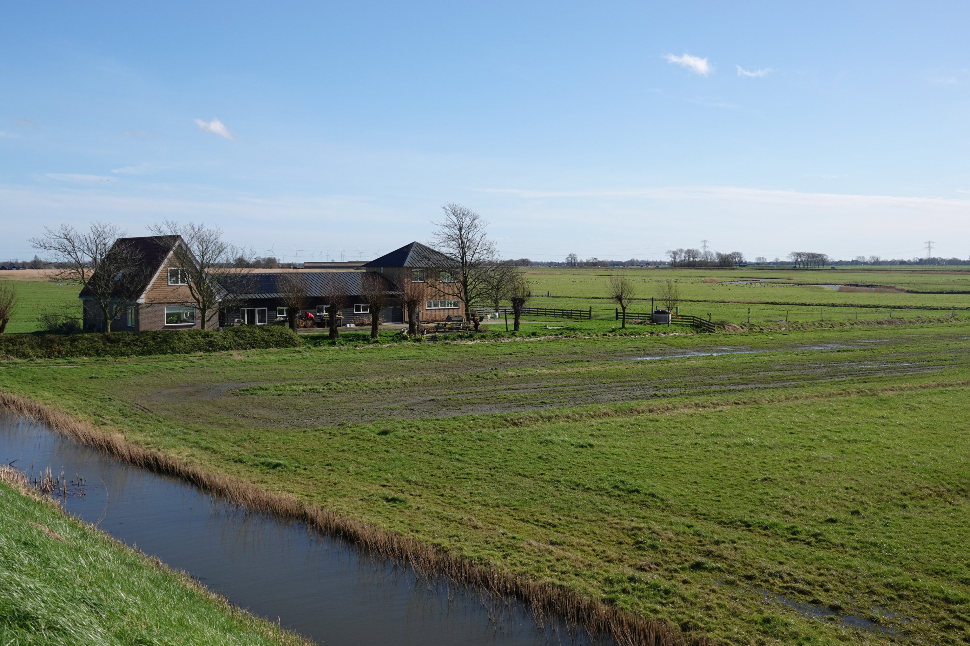 Nature house in Schagen