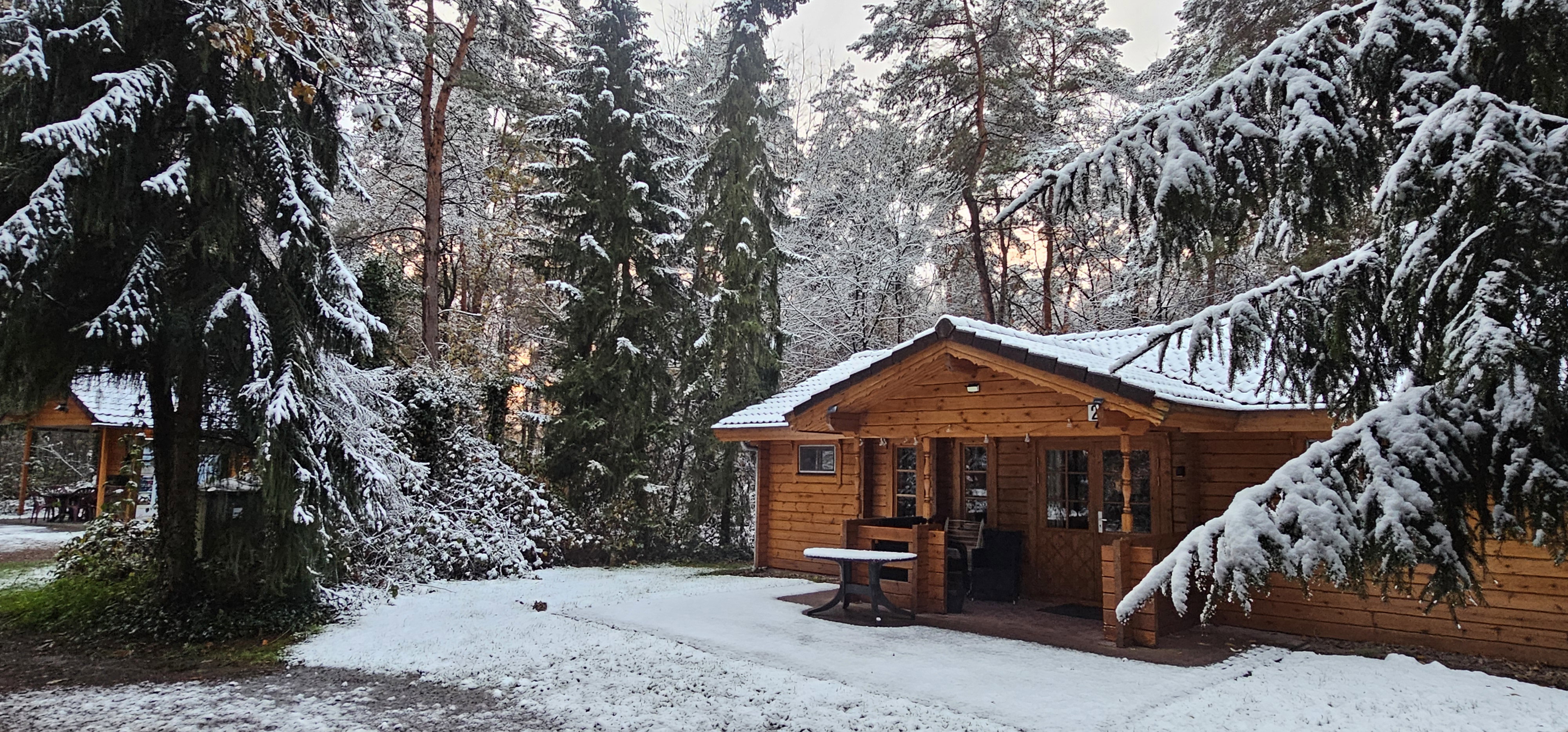 Natuurhuisje in Neede