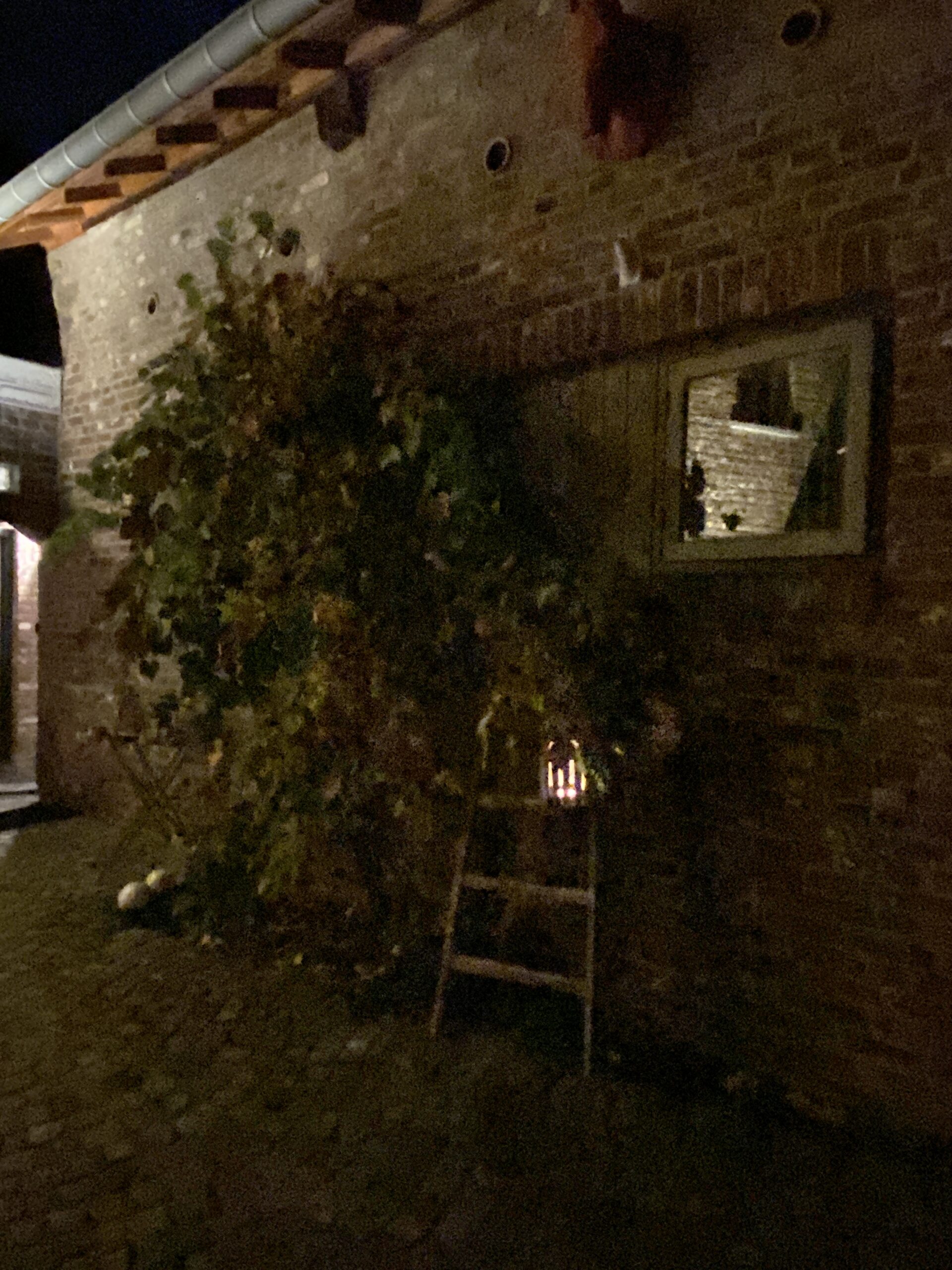 Natuurhuisje in Banholt