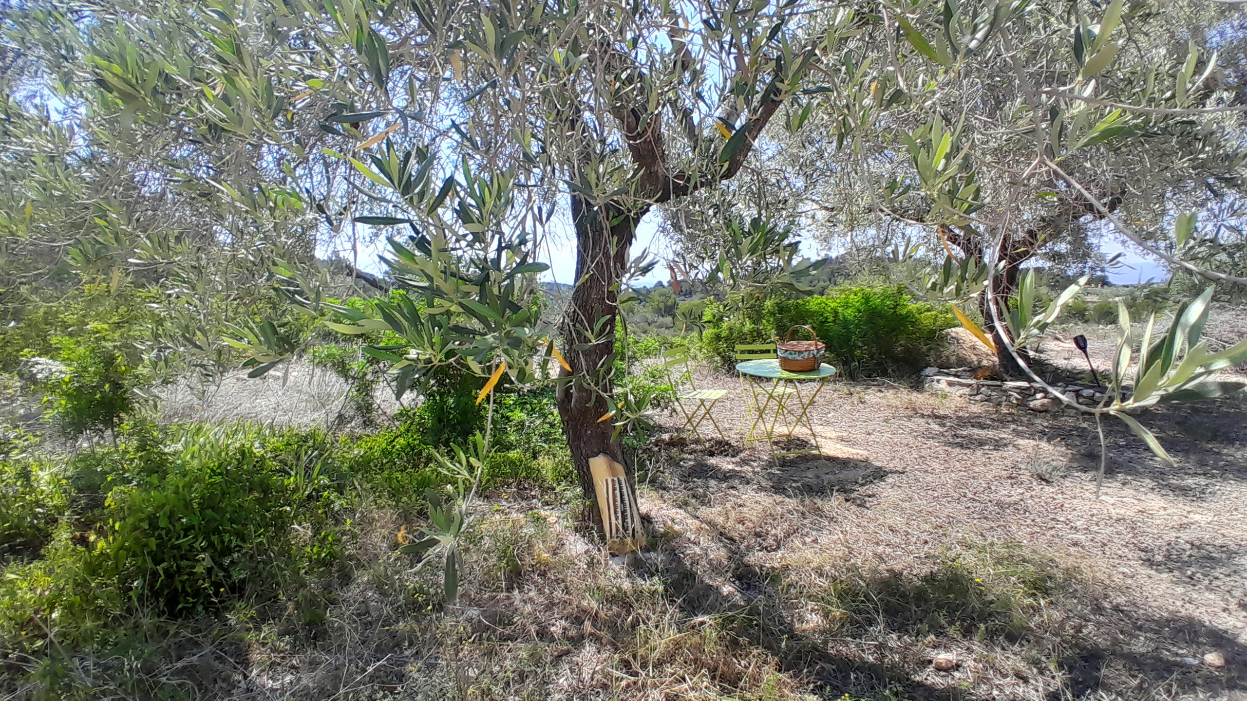 Natuurhuisje in L'Ampolla