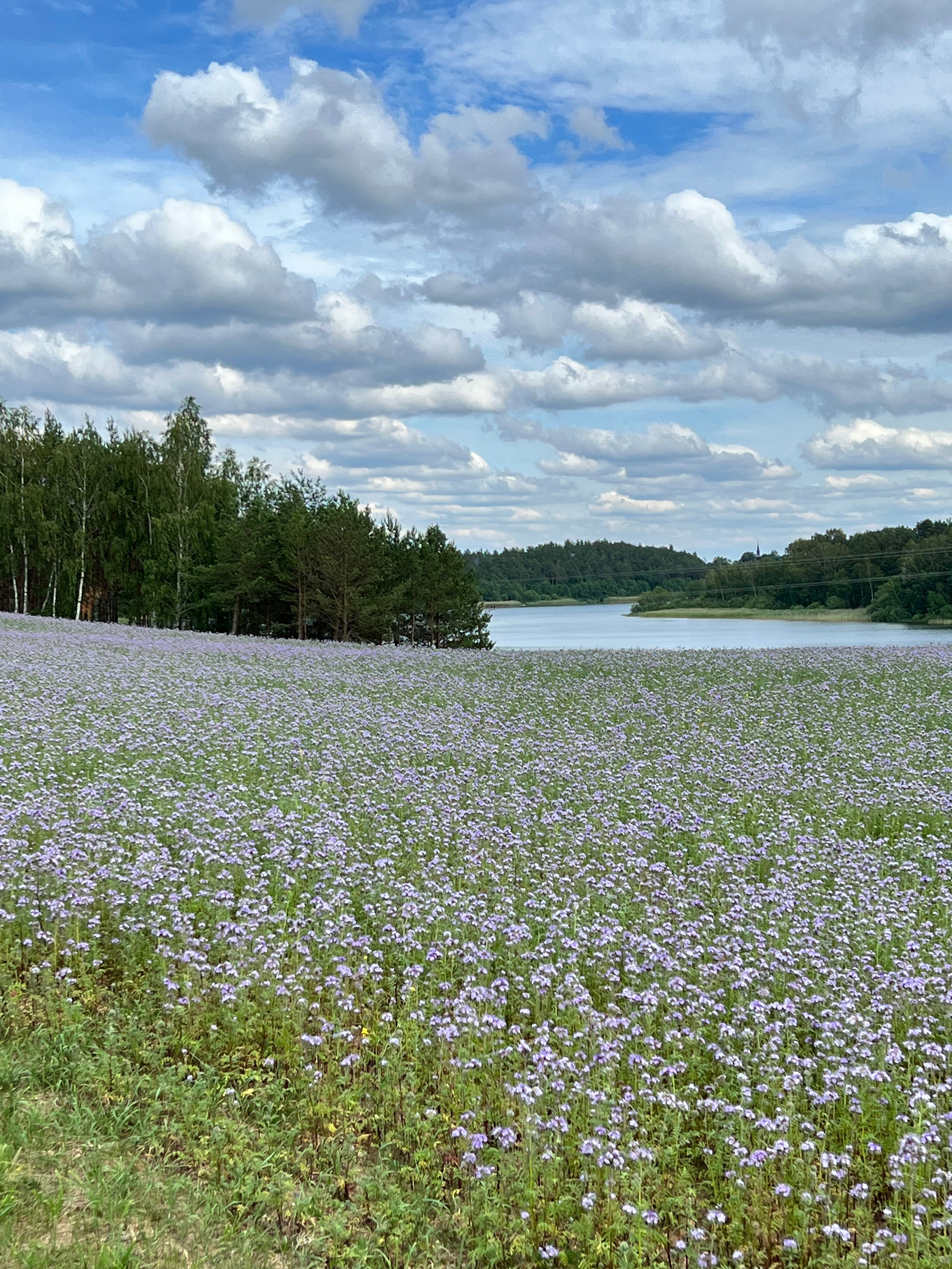 Maison nature à Brzeźno Szlacheckie