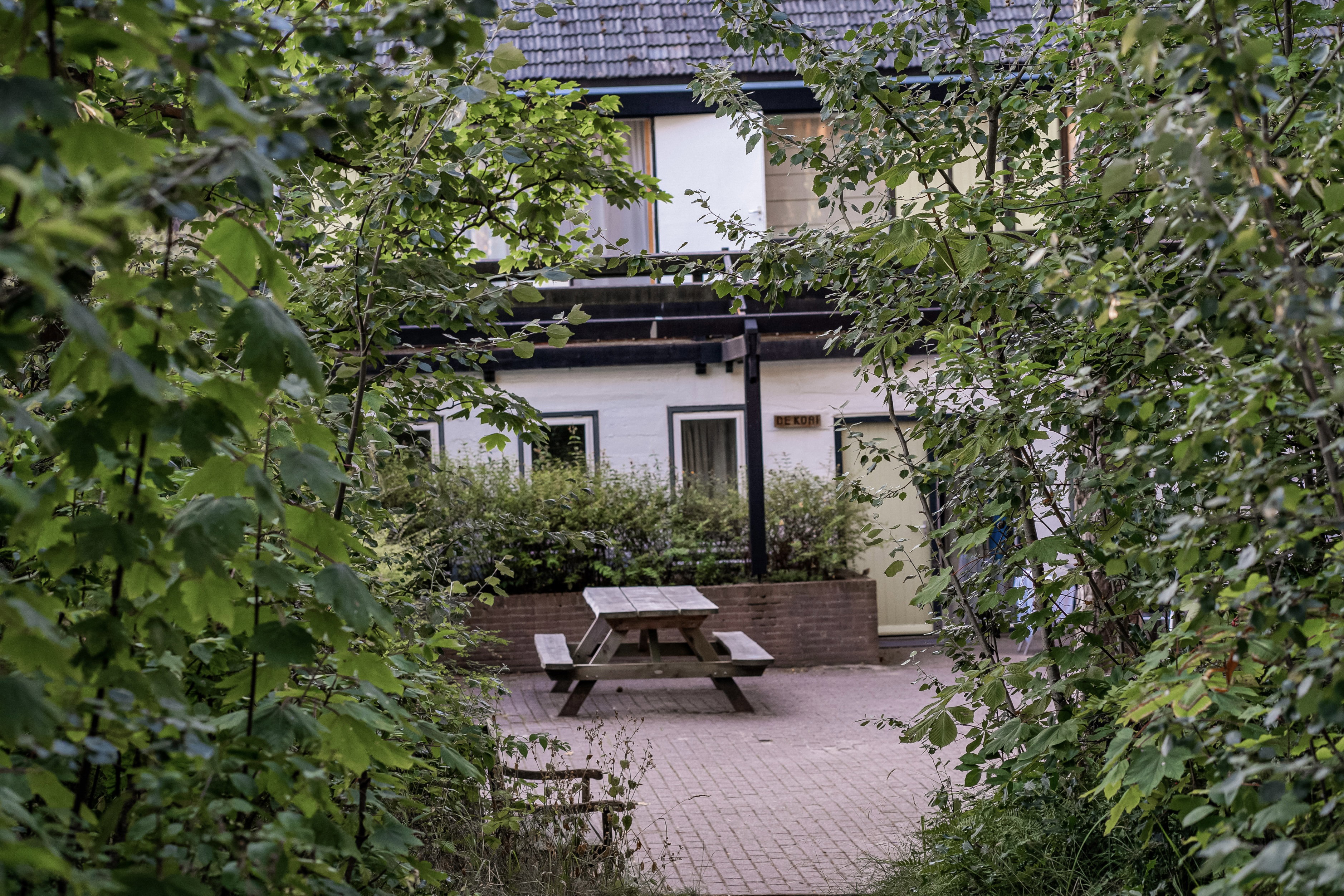 Casa nella natura a Terschelling
