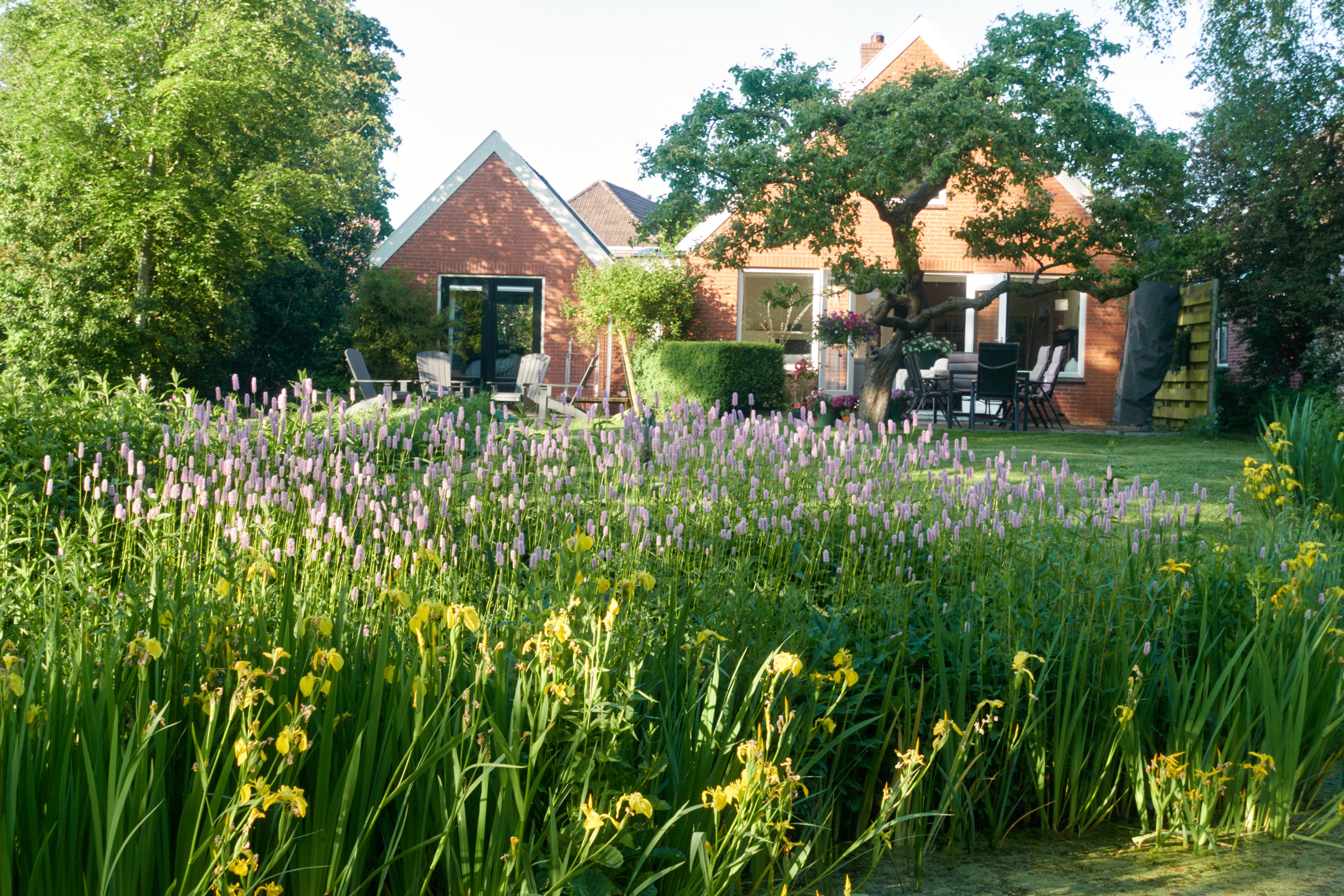 Casa nella natura a Grolloo