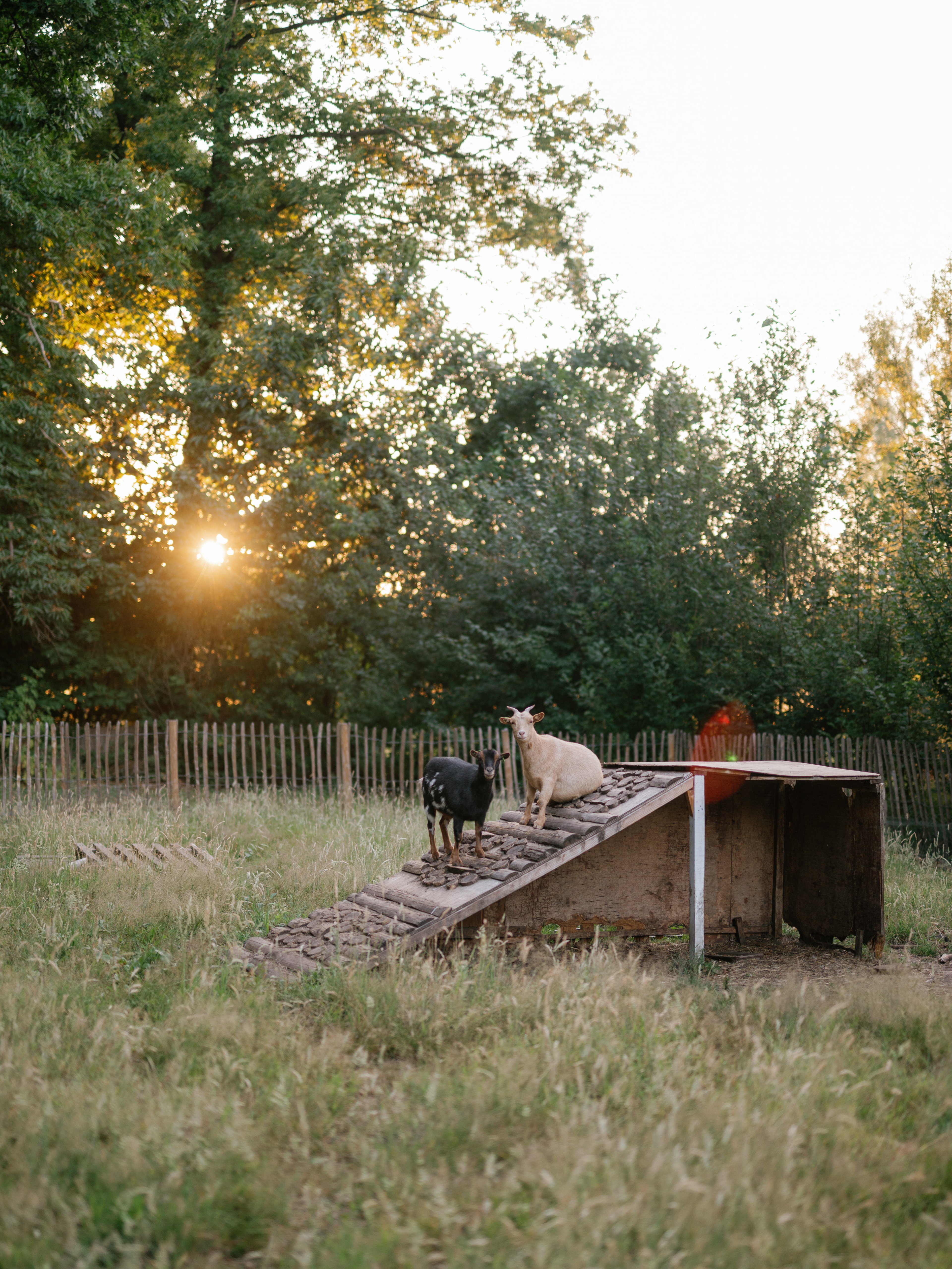 Natuurhuisje in Wetteren