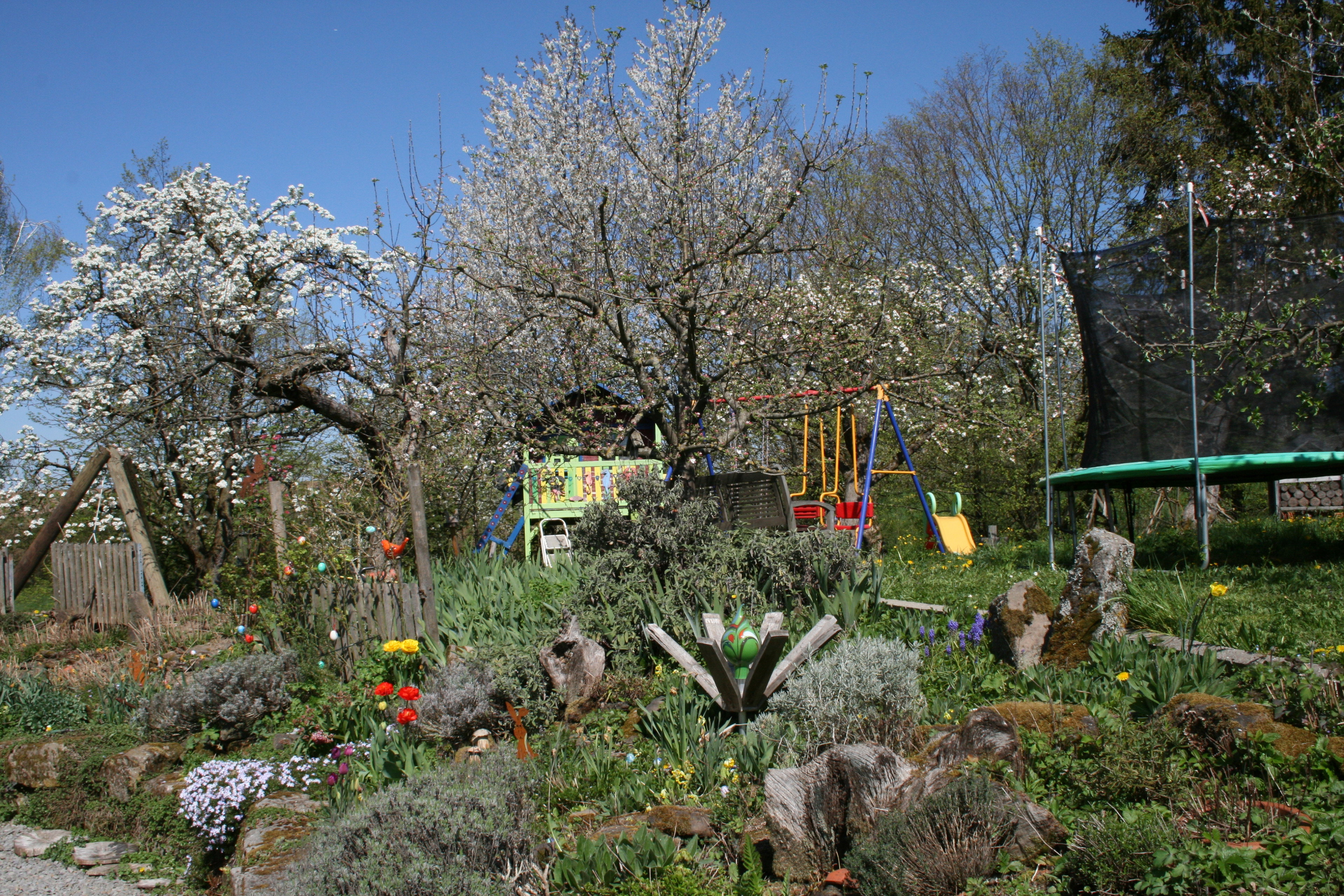 - image: 12