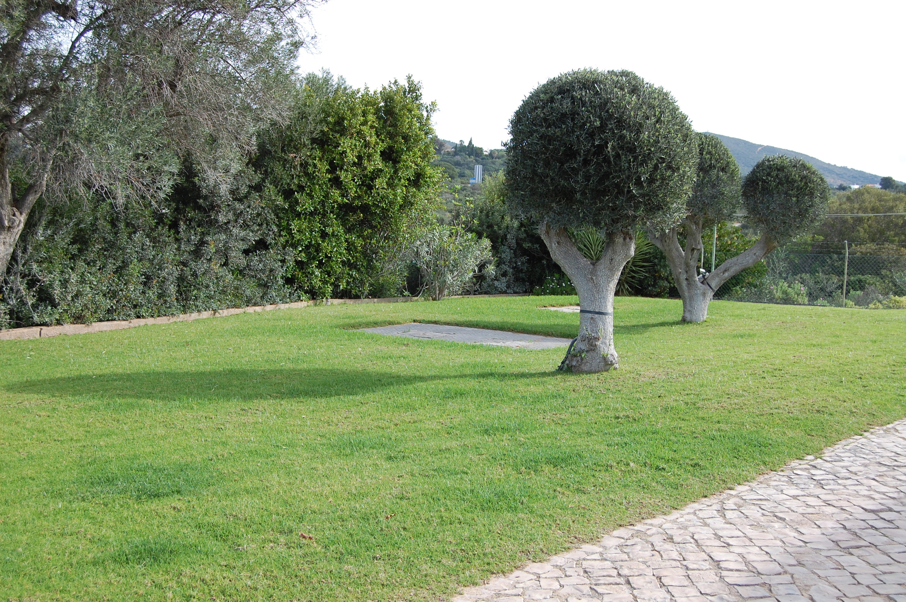 - image: 11