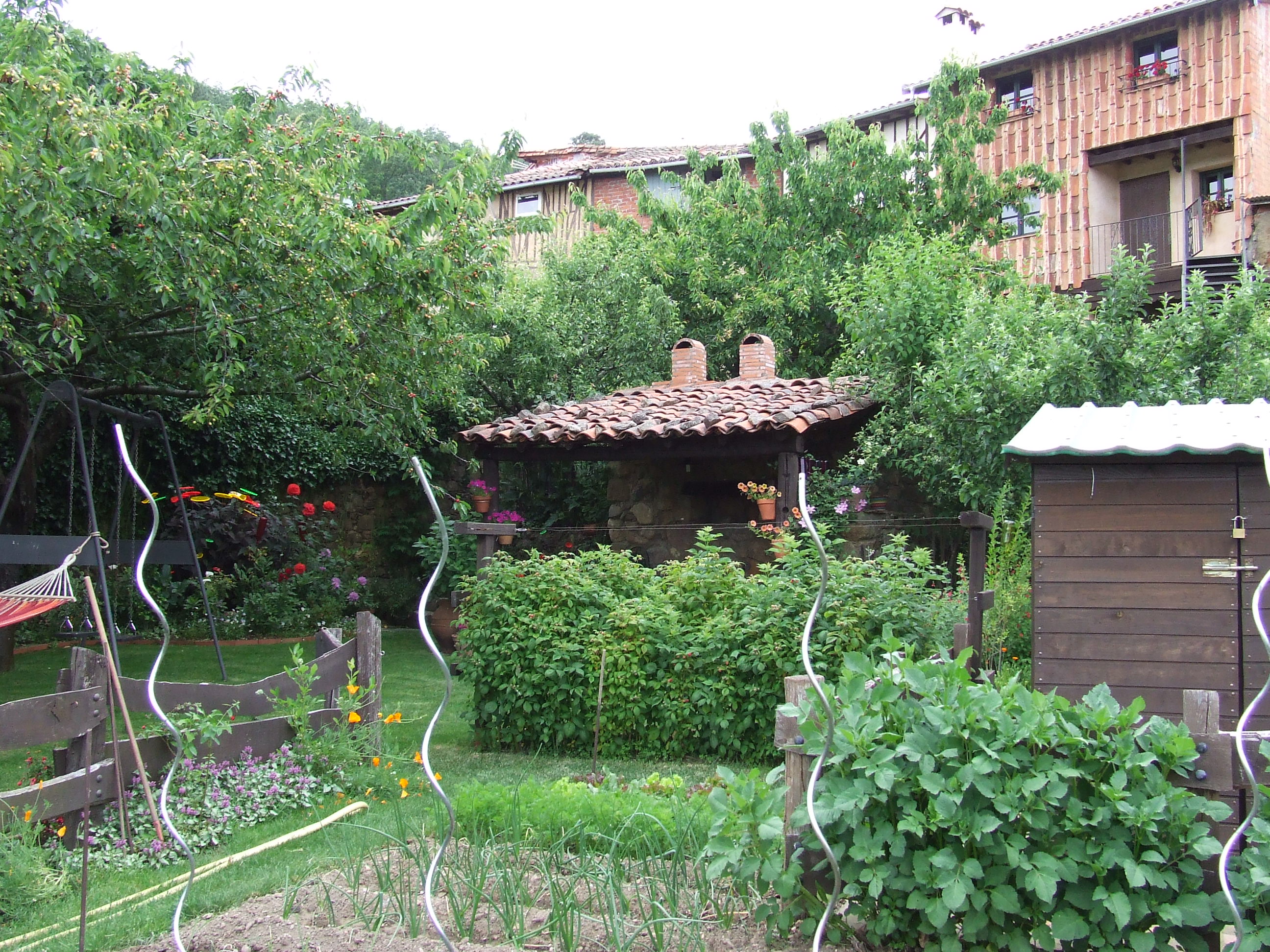 - image: 20