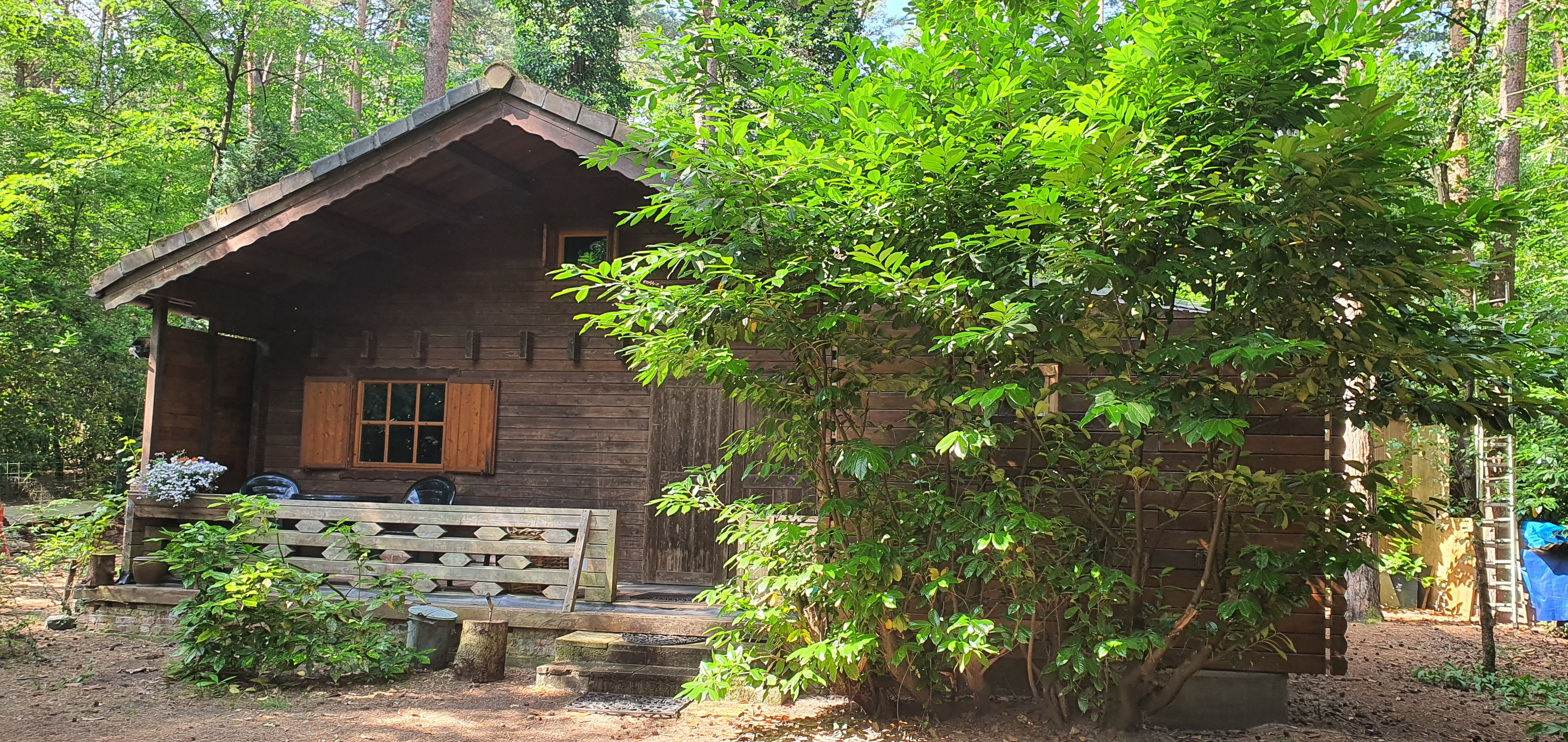 Casa nella natura a Lichtaart