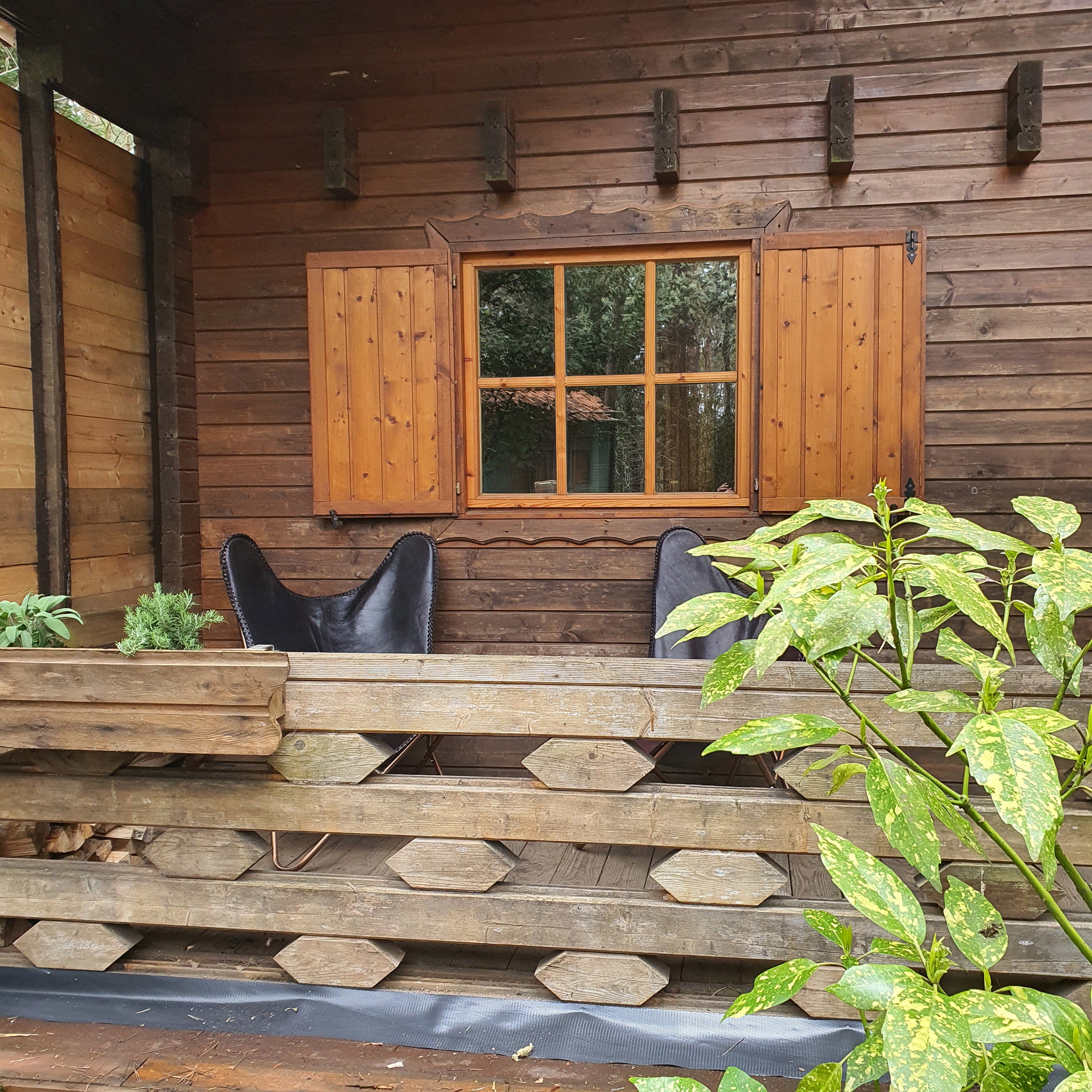 Casa nella natura a Lichtaart