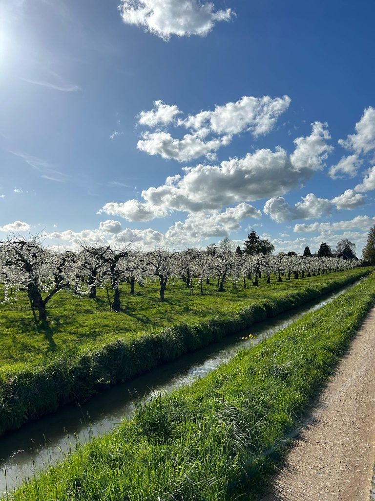 Casa nella natura a Ommeren