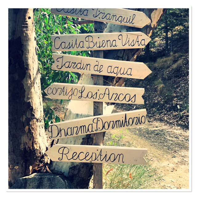 - image: 17