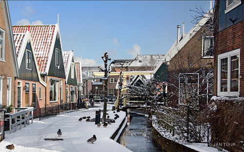 - image: 24