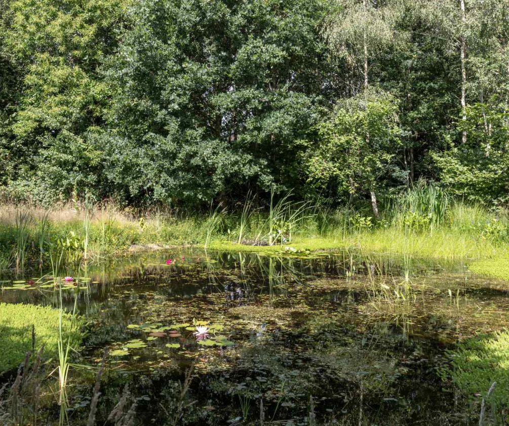 Casa nella natura a Vledder